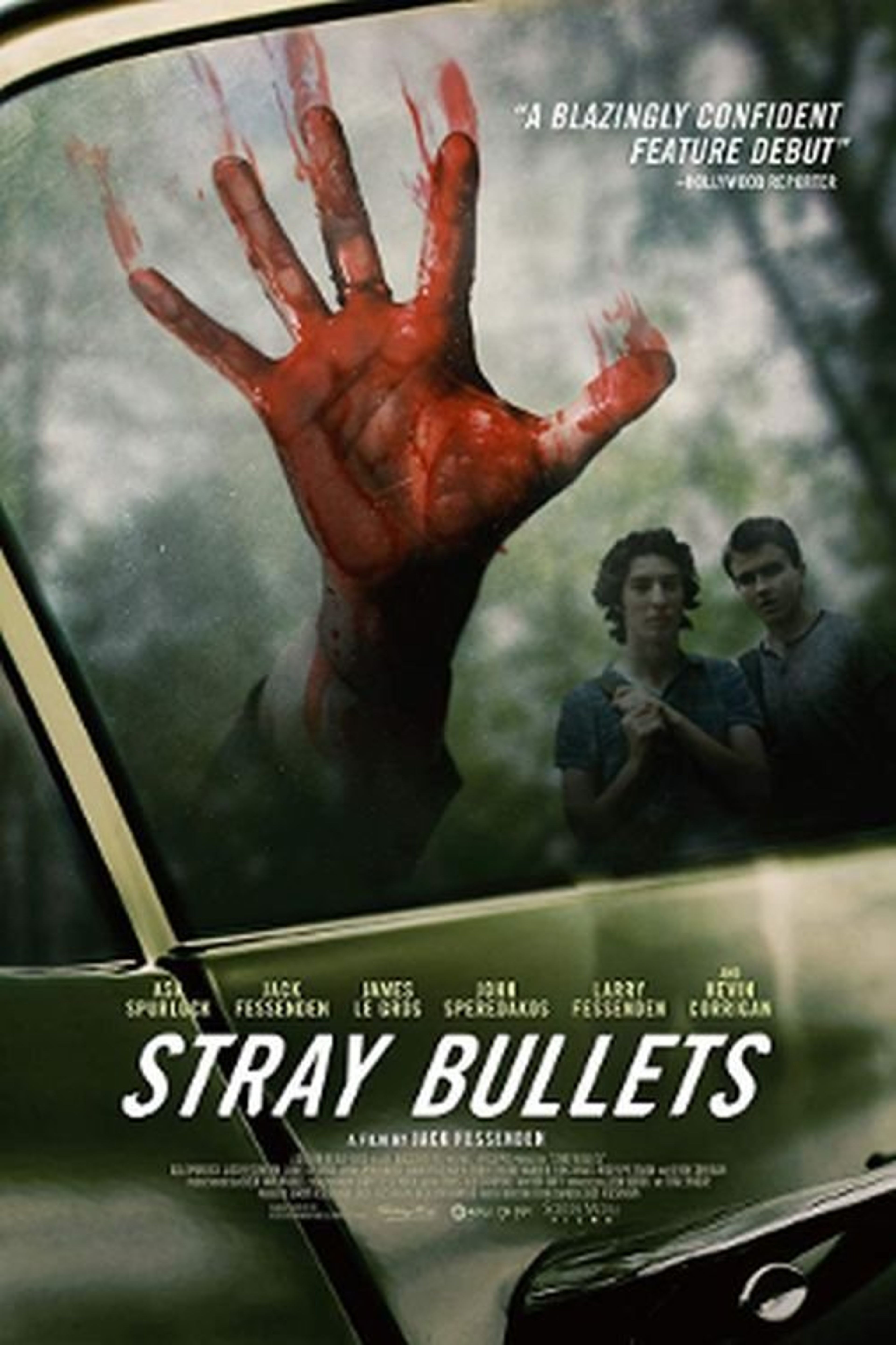 Poster image of Stray Bullets