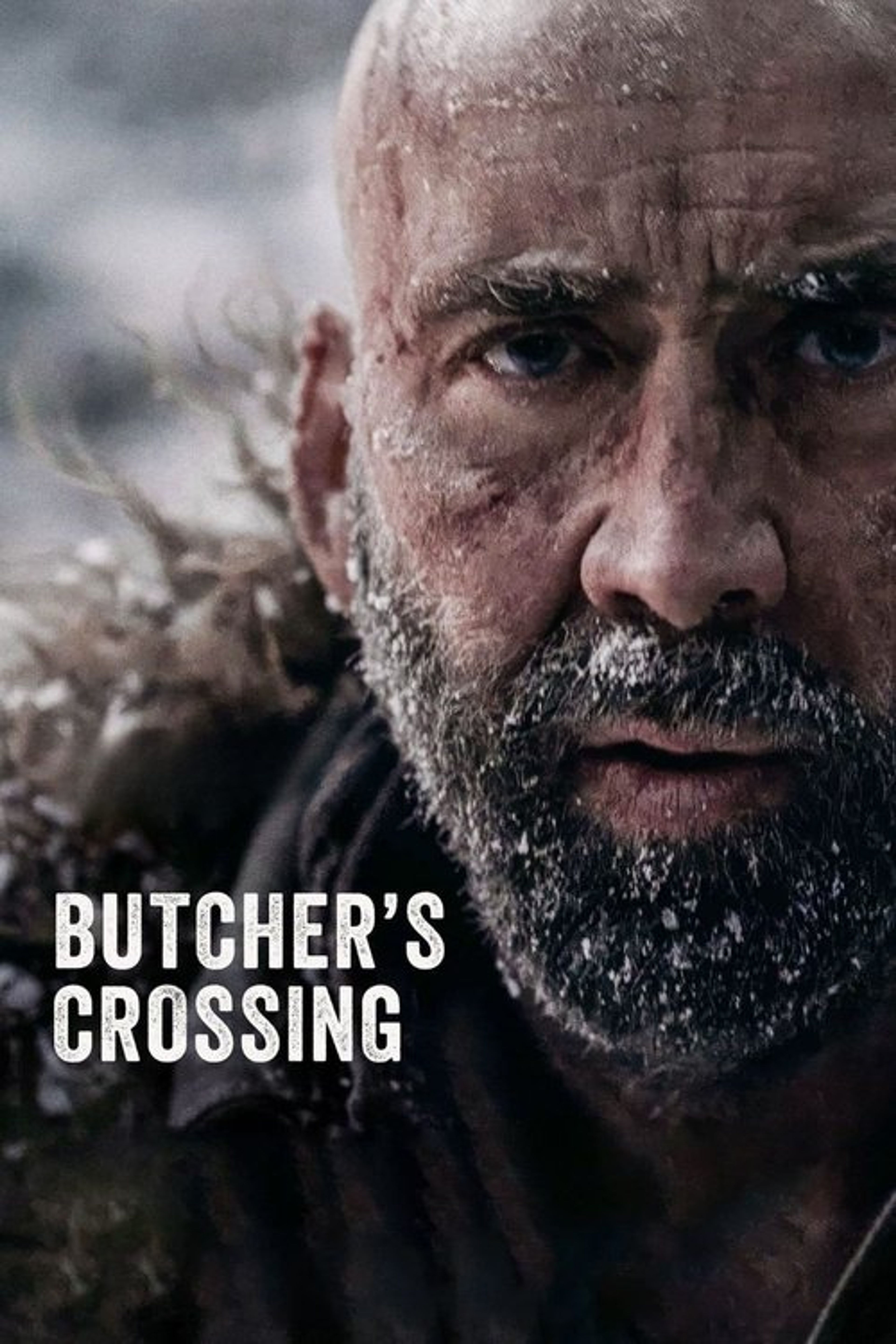 Poster image of Butcher's Crossing