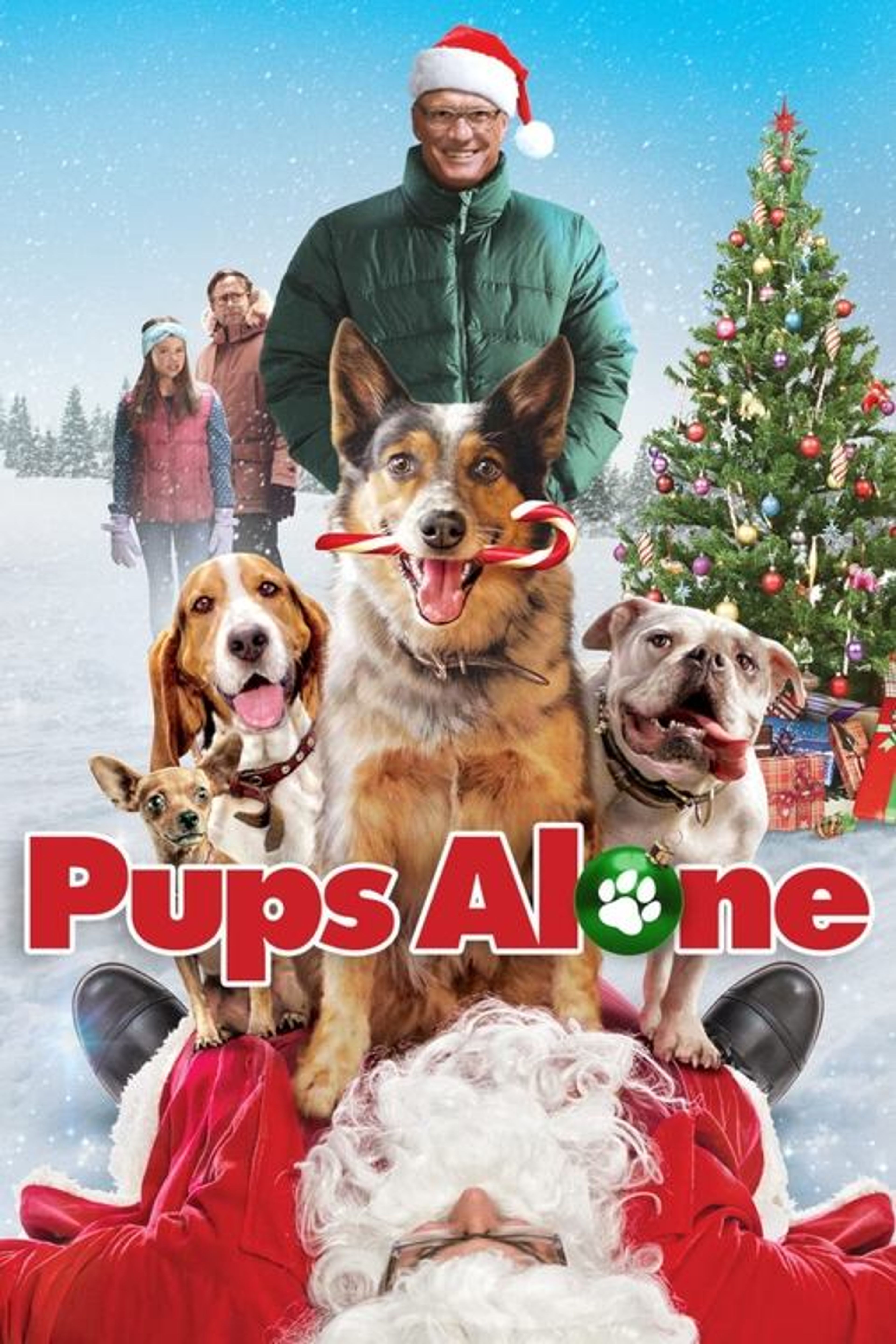 Poster image of Pups Alone