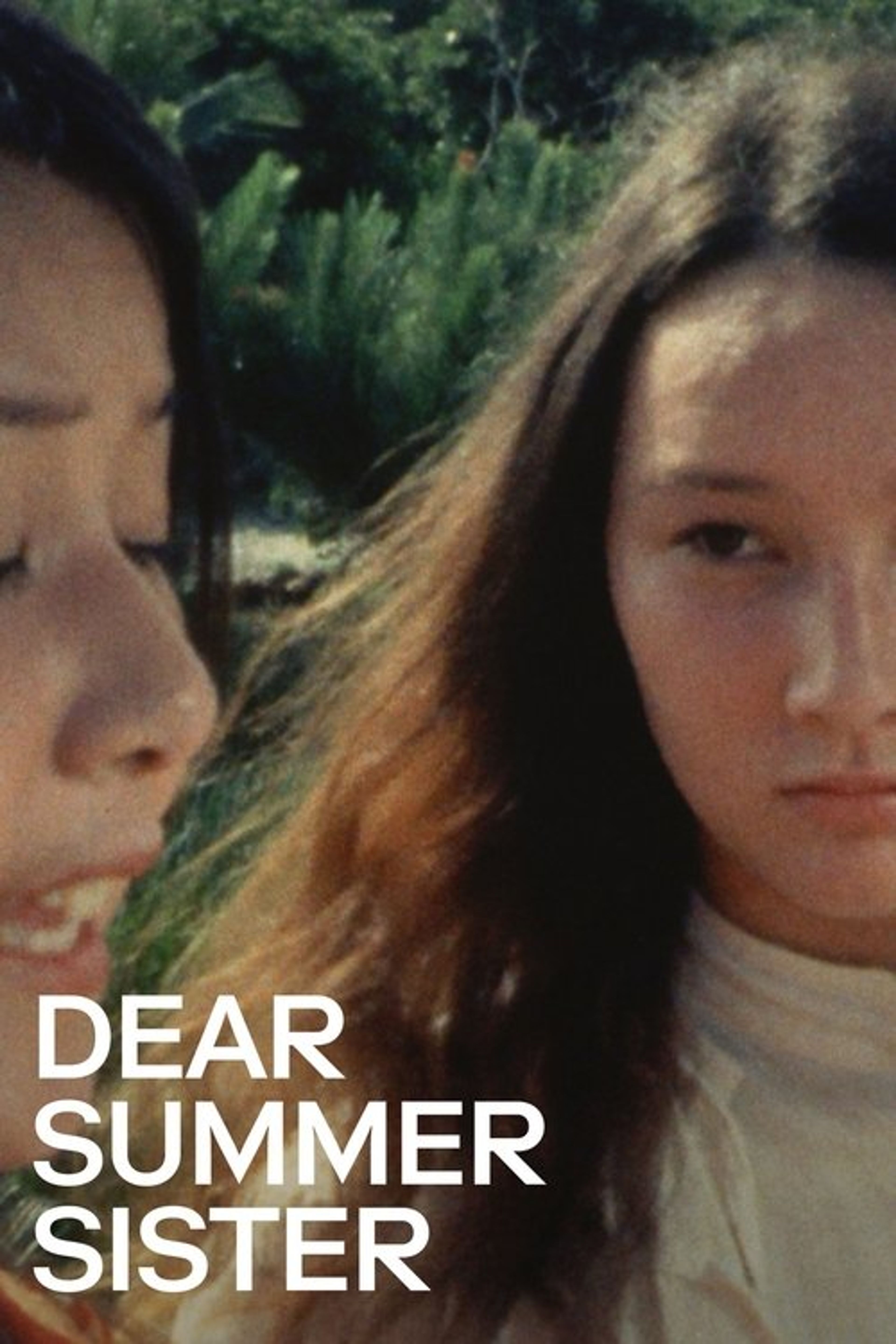 Poster image of Dear Summer Sister