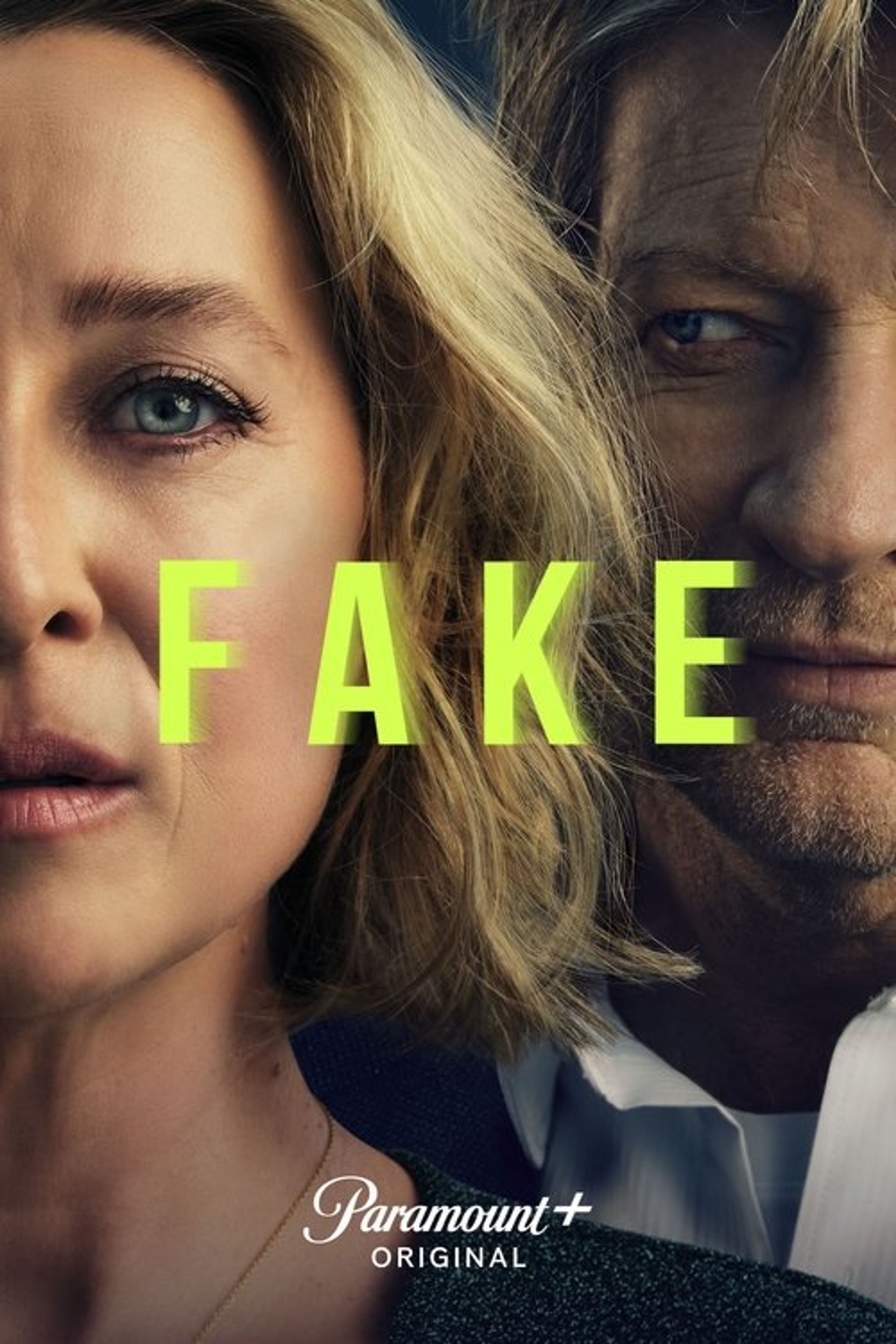 Poster image of Fake