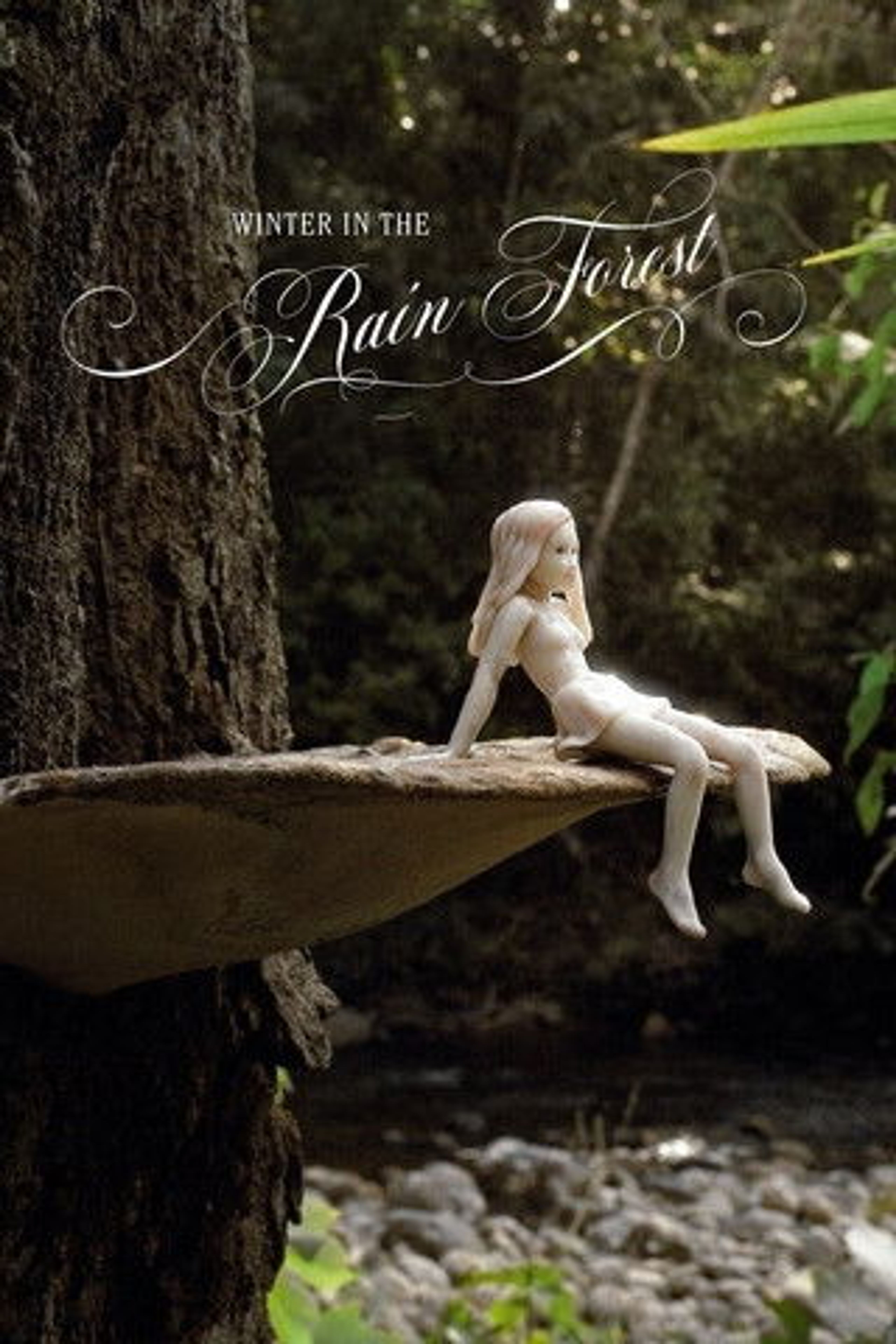 Poster image of Winter In The Rainforest