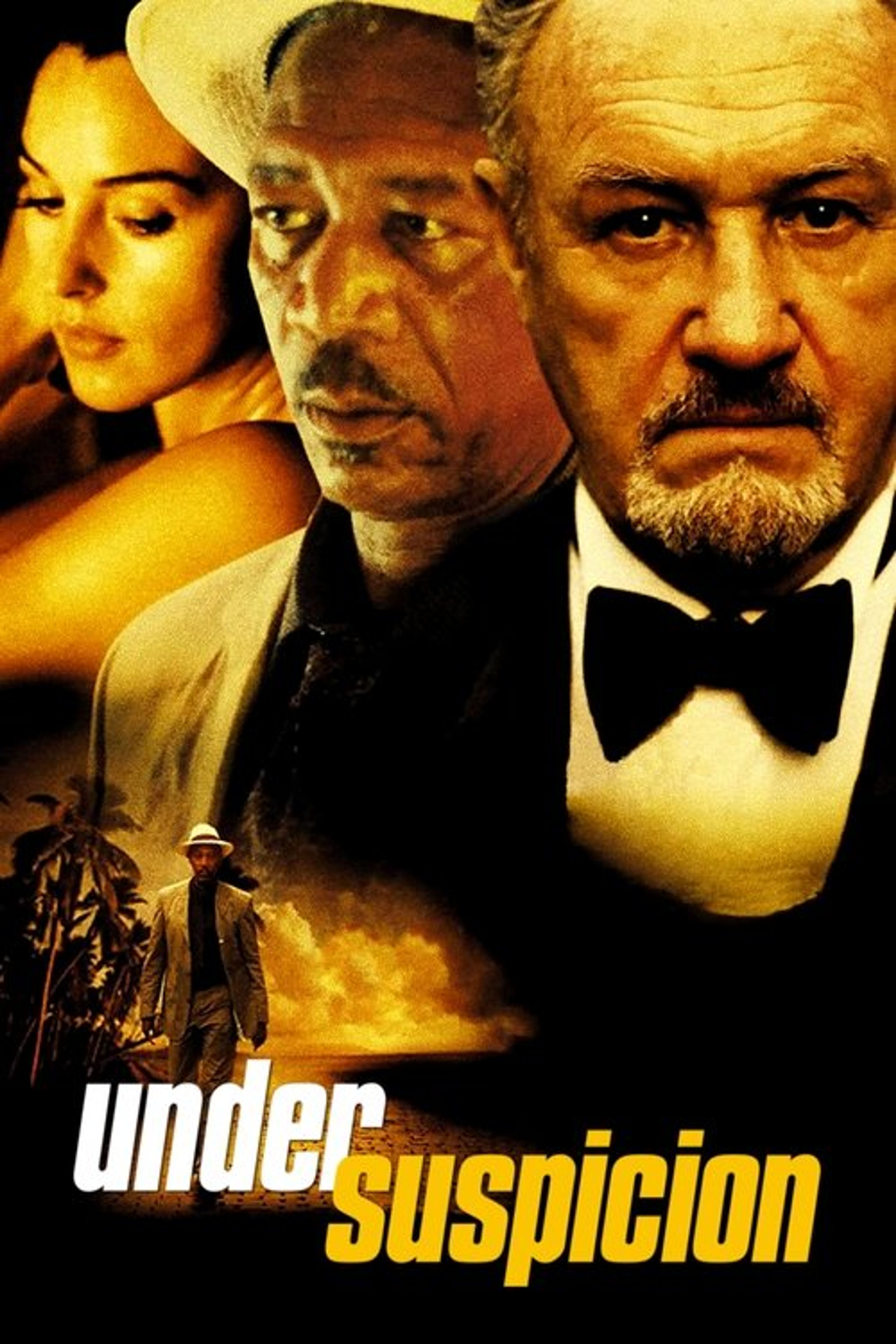 Poster image of Under Suspicion