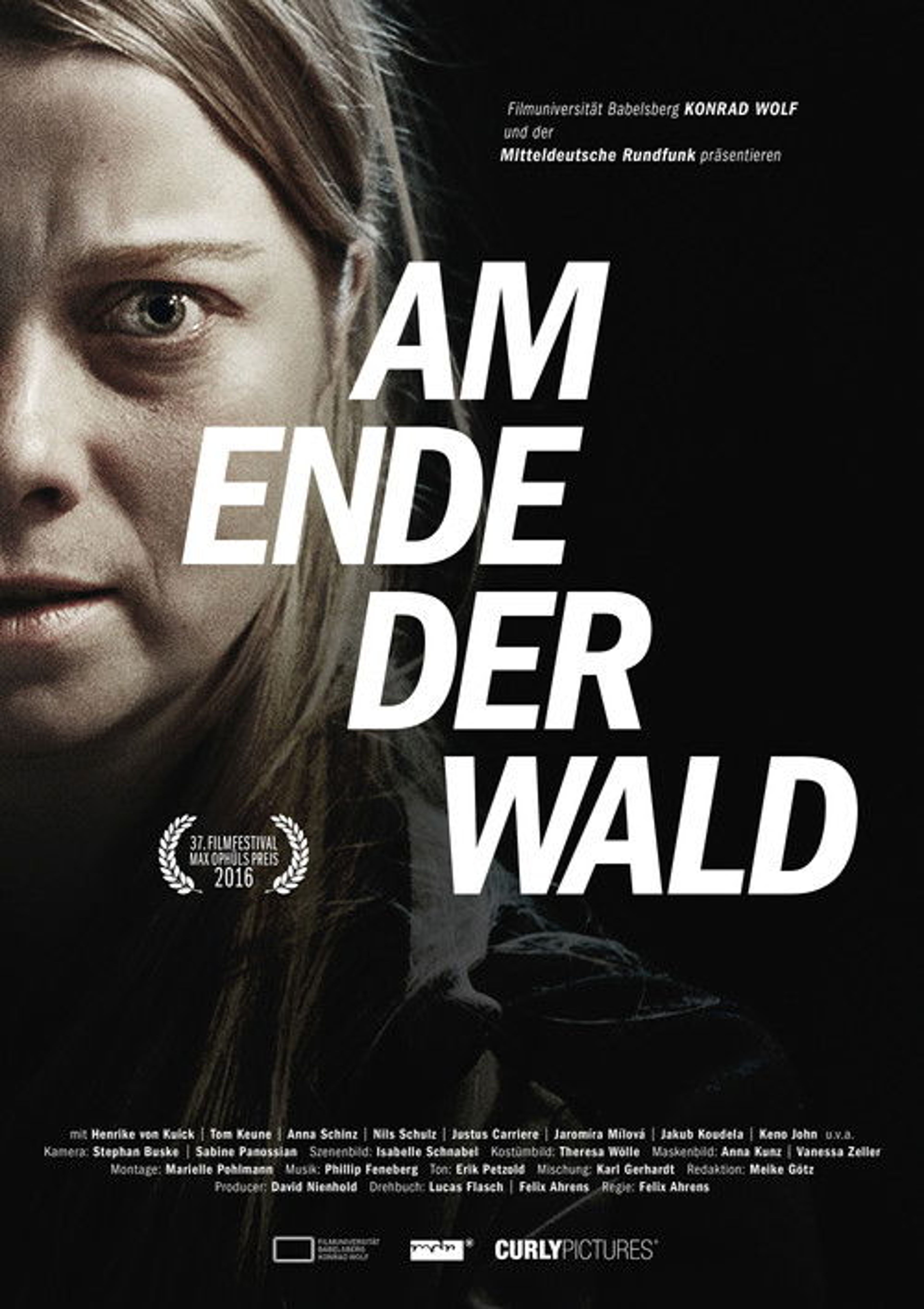 Poster image of Am Ende der Wald