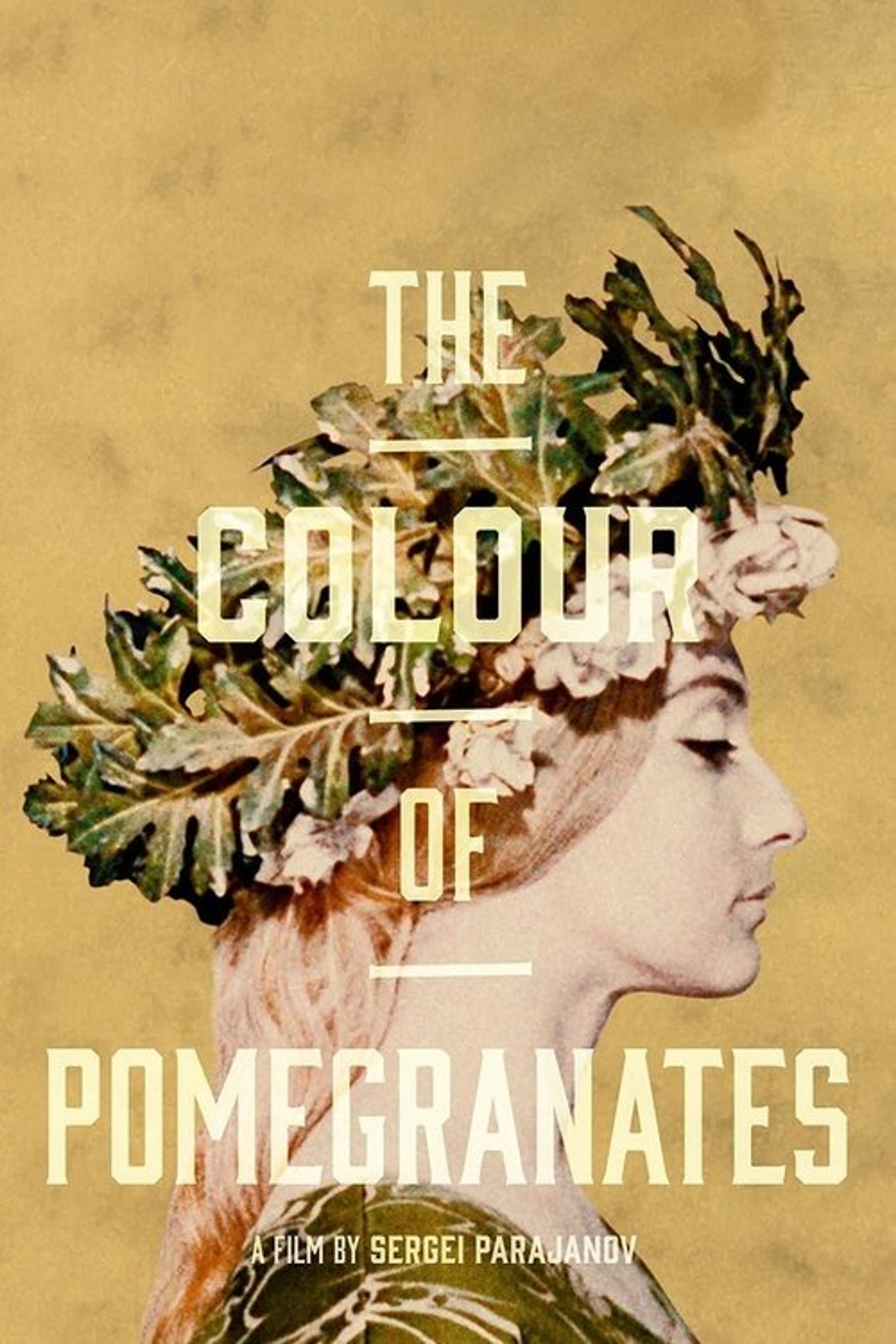 Poster image of The Color of Pomegranates