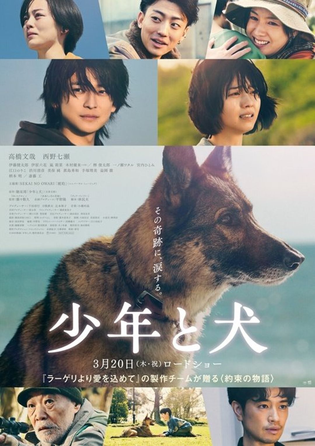 Poster image of The Boy and the Dog