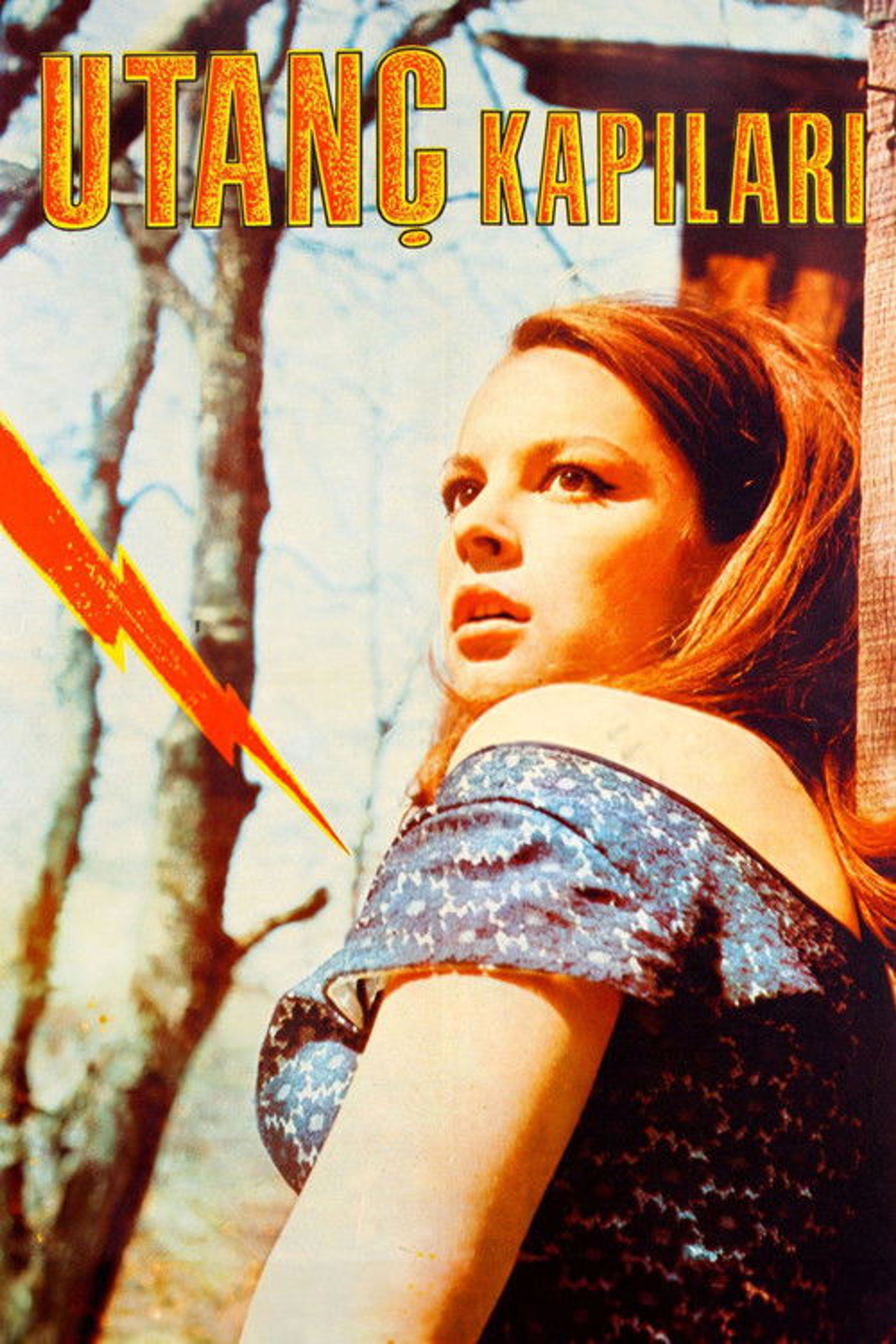 Poster image of Utanç Kapıları