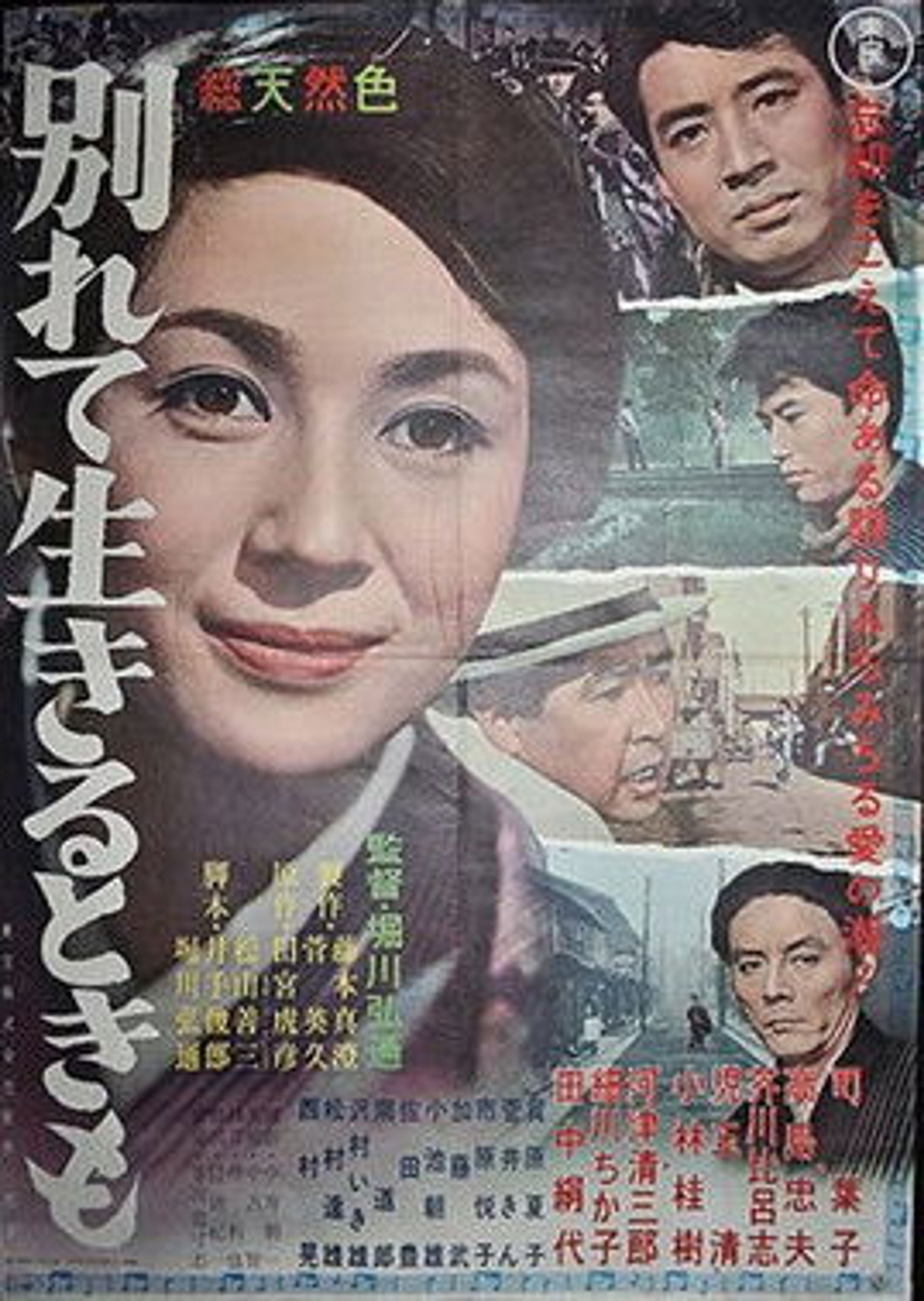 Poster image of Wakarete ikiru toki mo