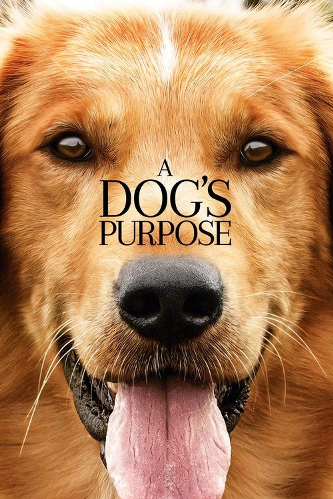 Poster image of A Dog's Purpose