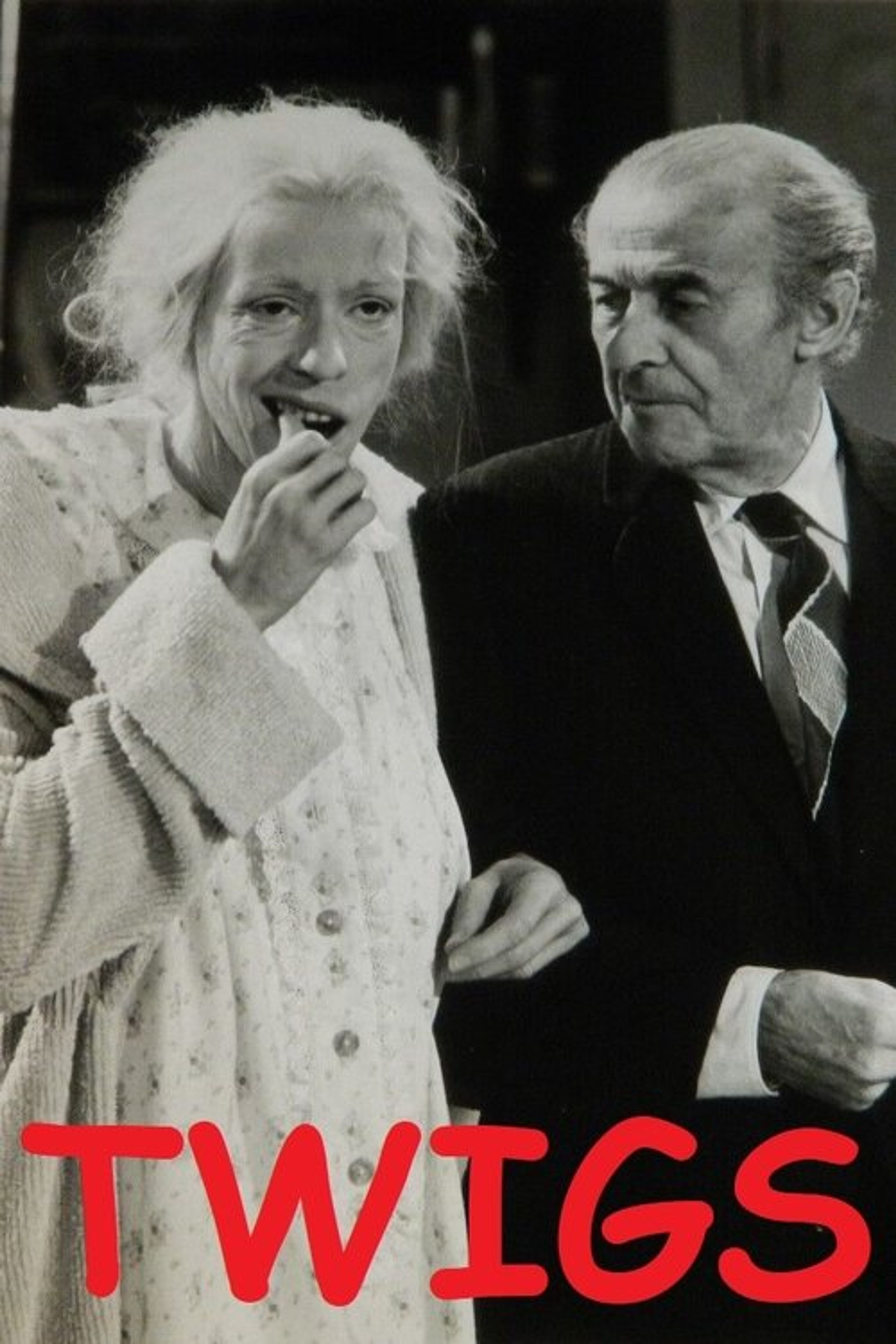 Poster image of Twigs