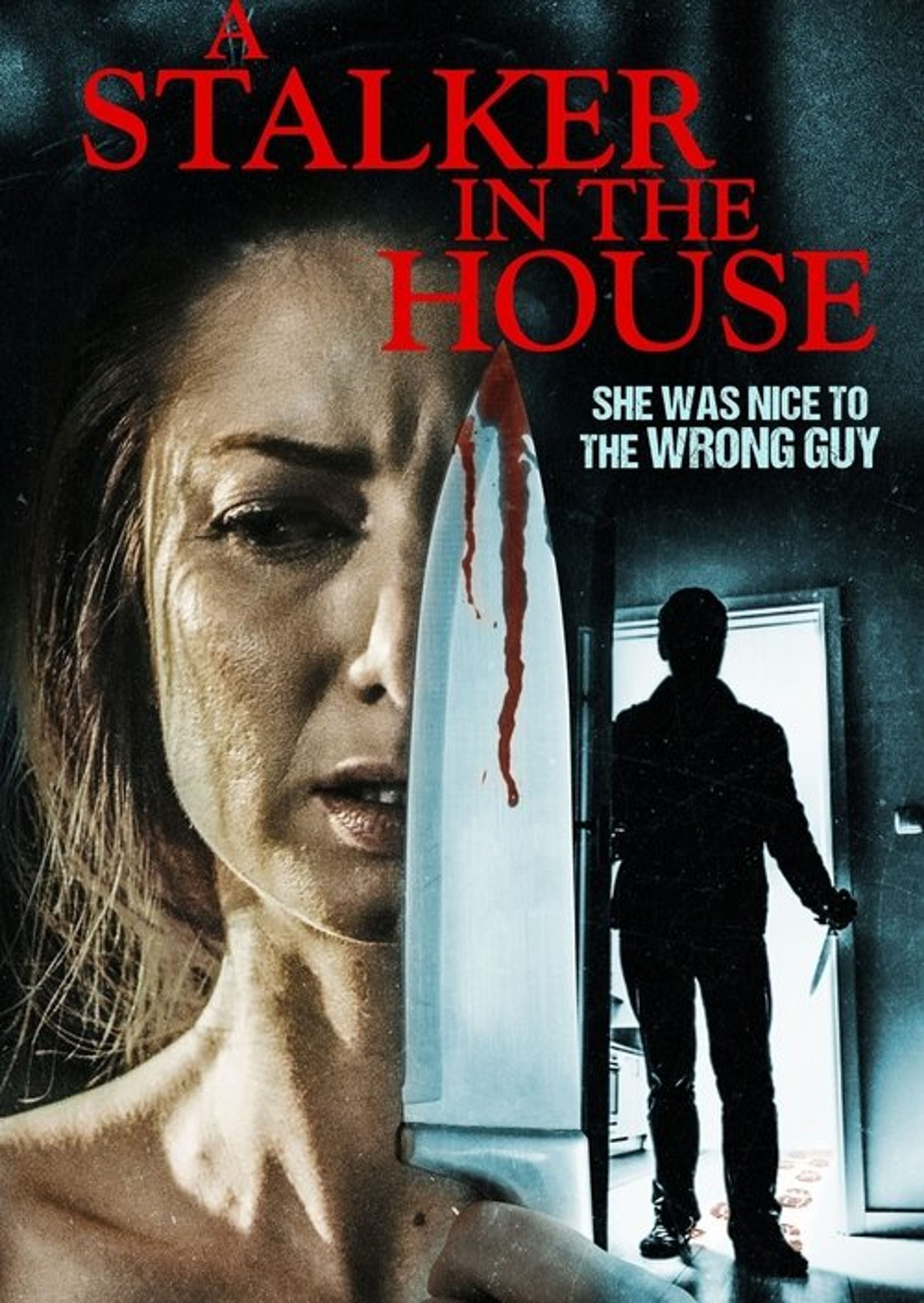 Poster image of A Stalker in the House