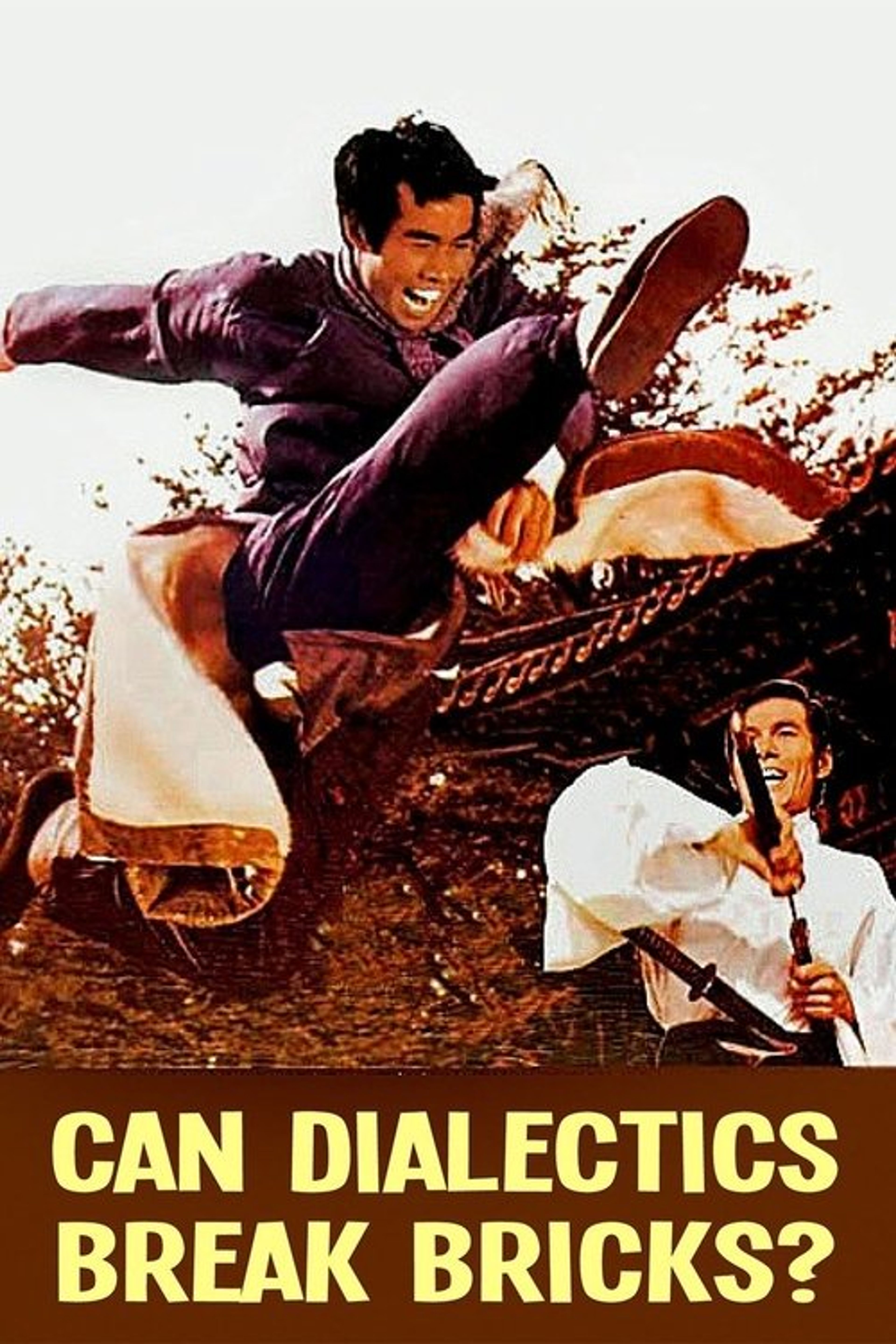 Poster image of Can Dialectics Break Bricks?