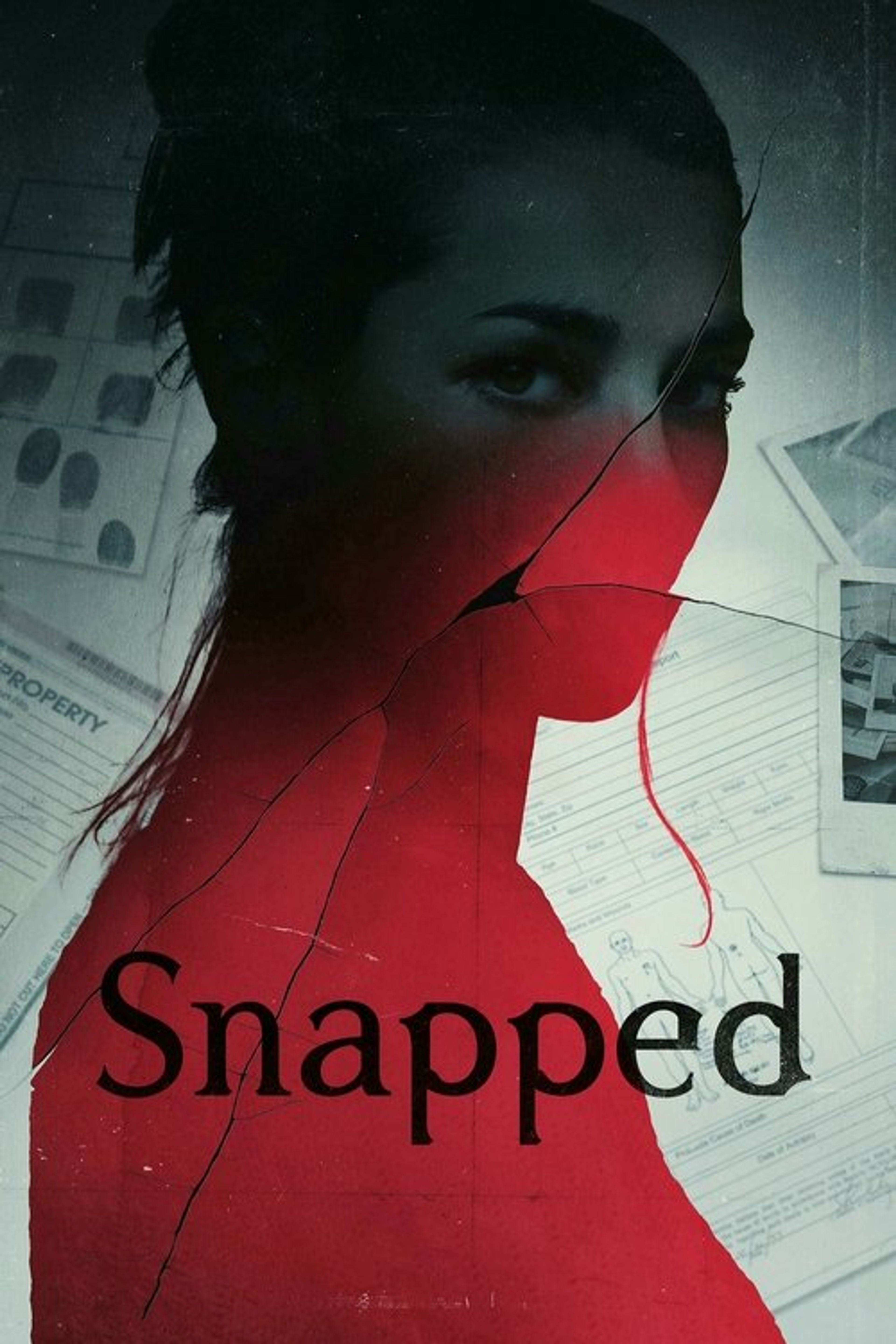 Poster image of Snapped