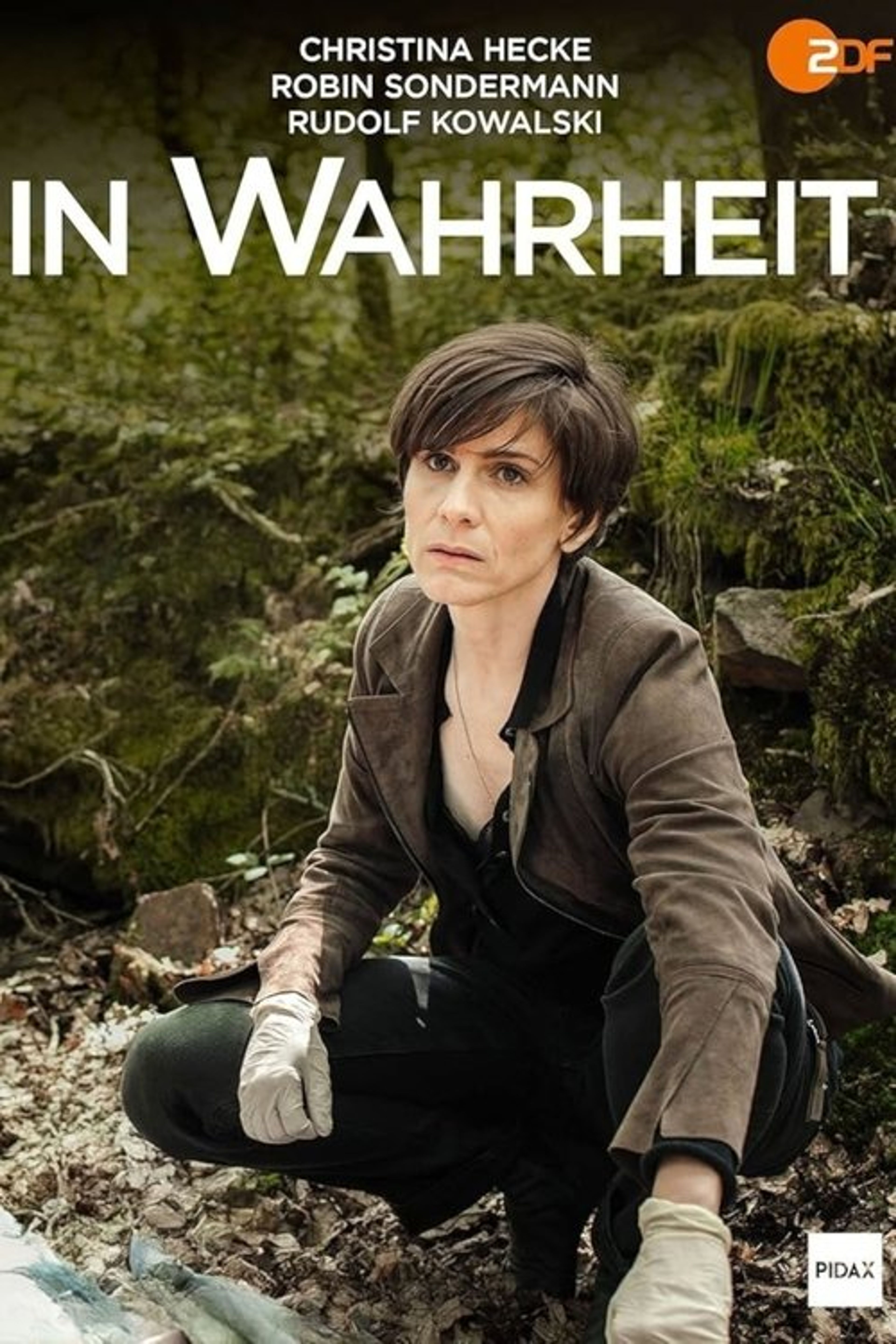 Poster image of In Wahrheit