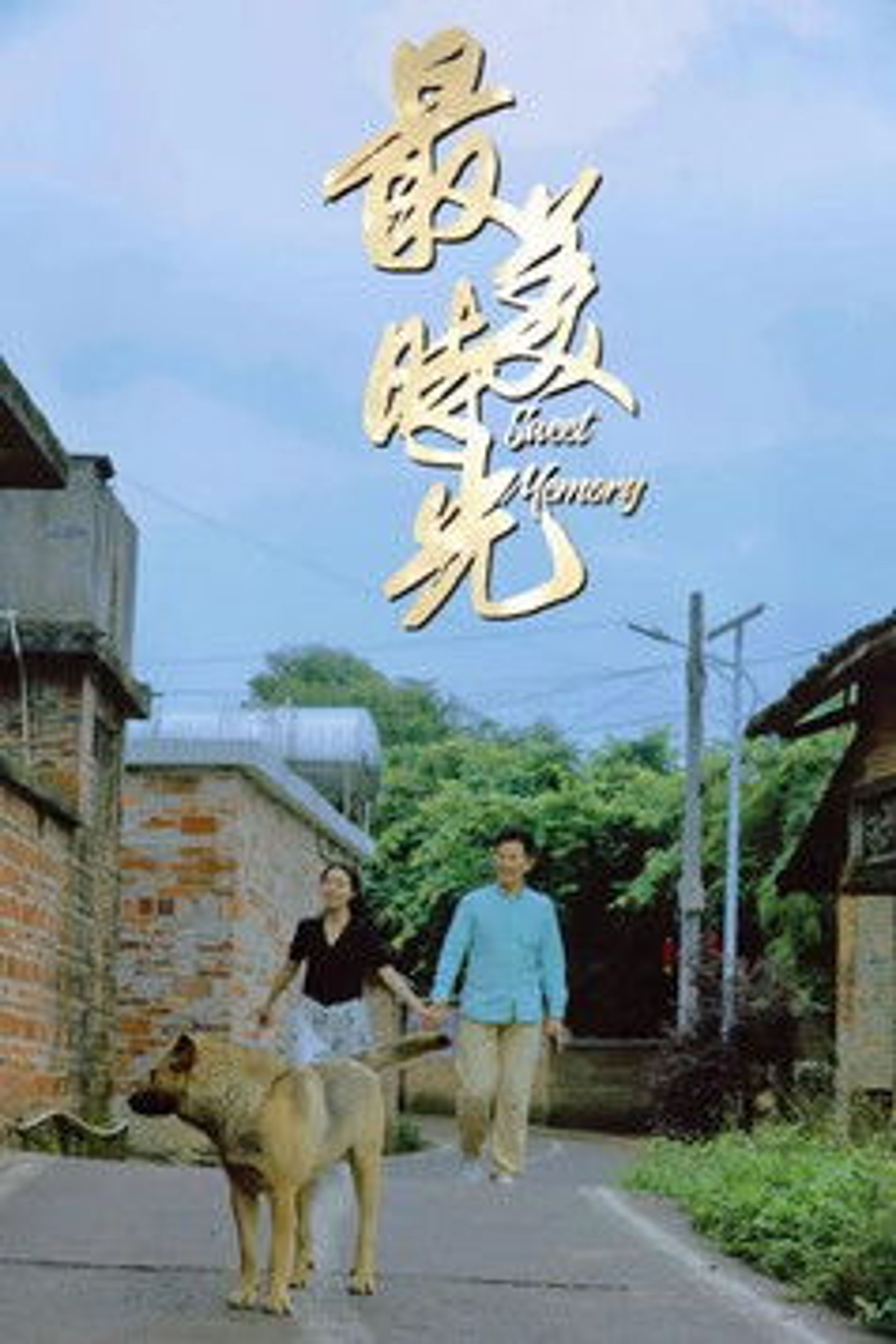 Poster image of Sweet Memory