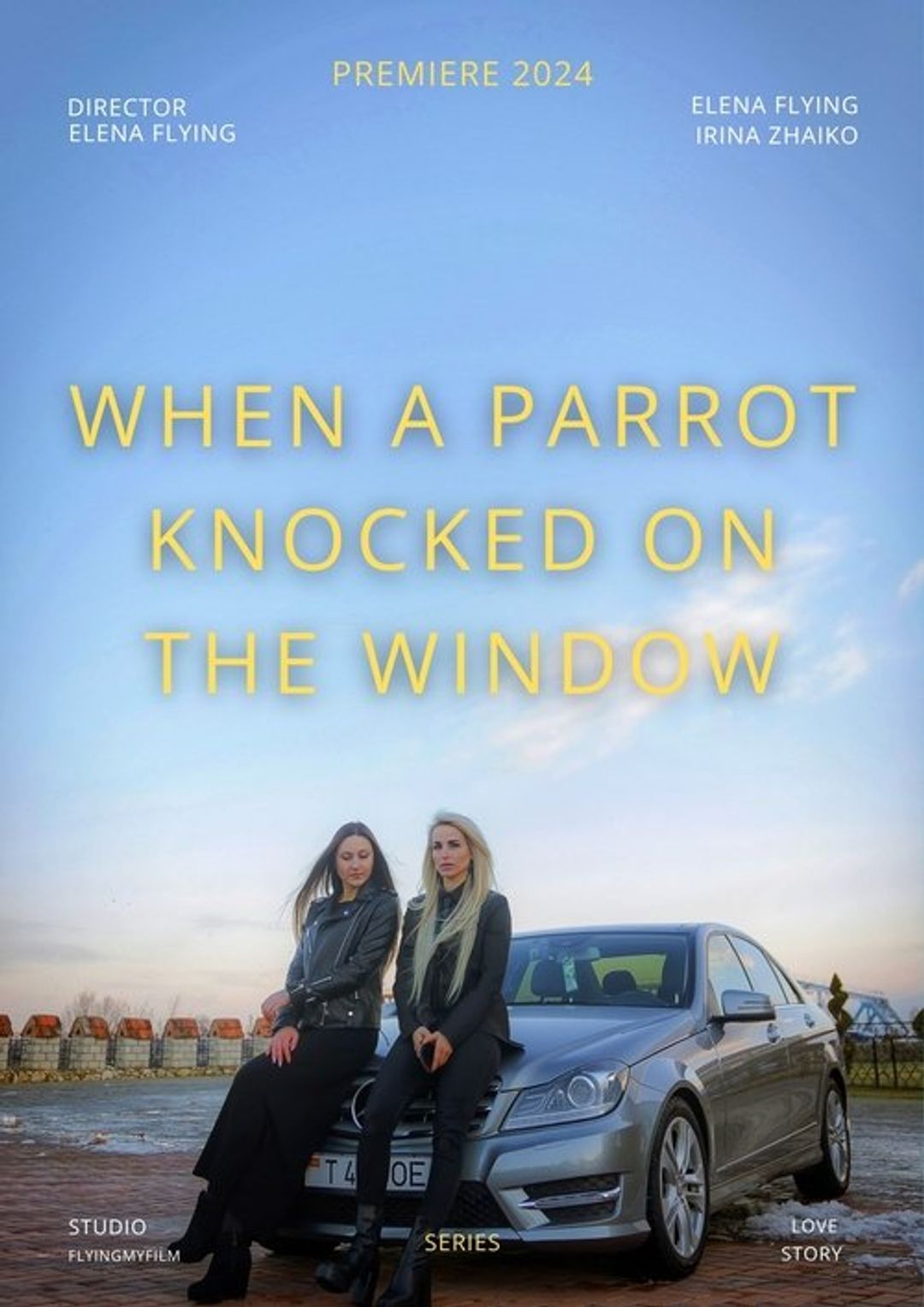 Poster image of When a Parrot Knocked on the Window