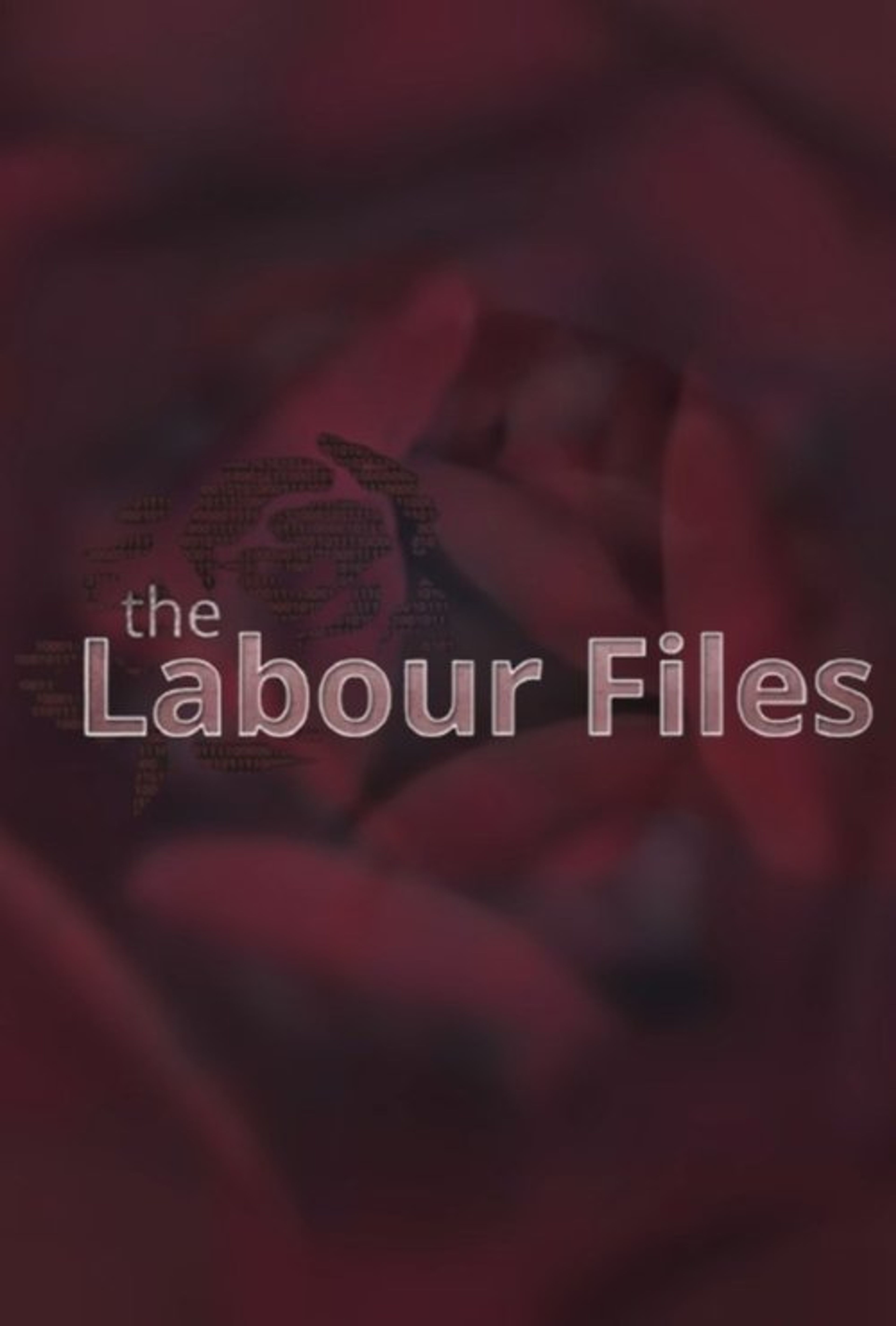 Poster image of The Labour Files
