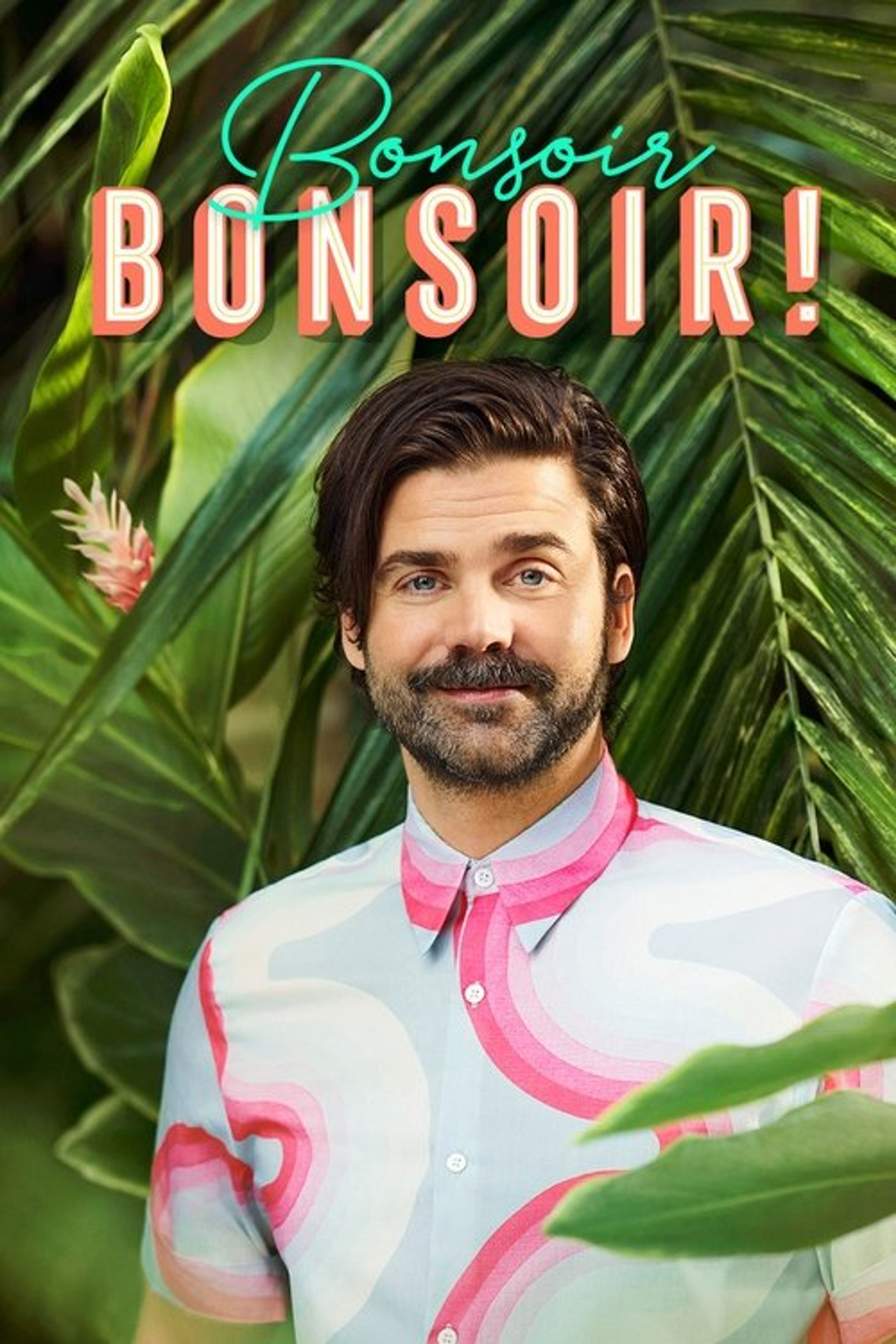 Poster image of Bonsoir bonsoir!