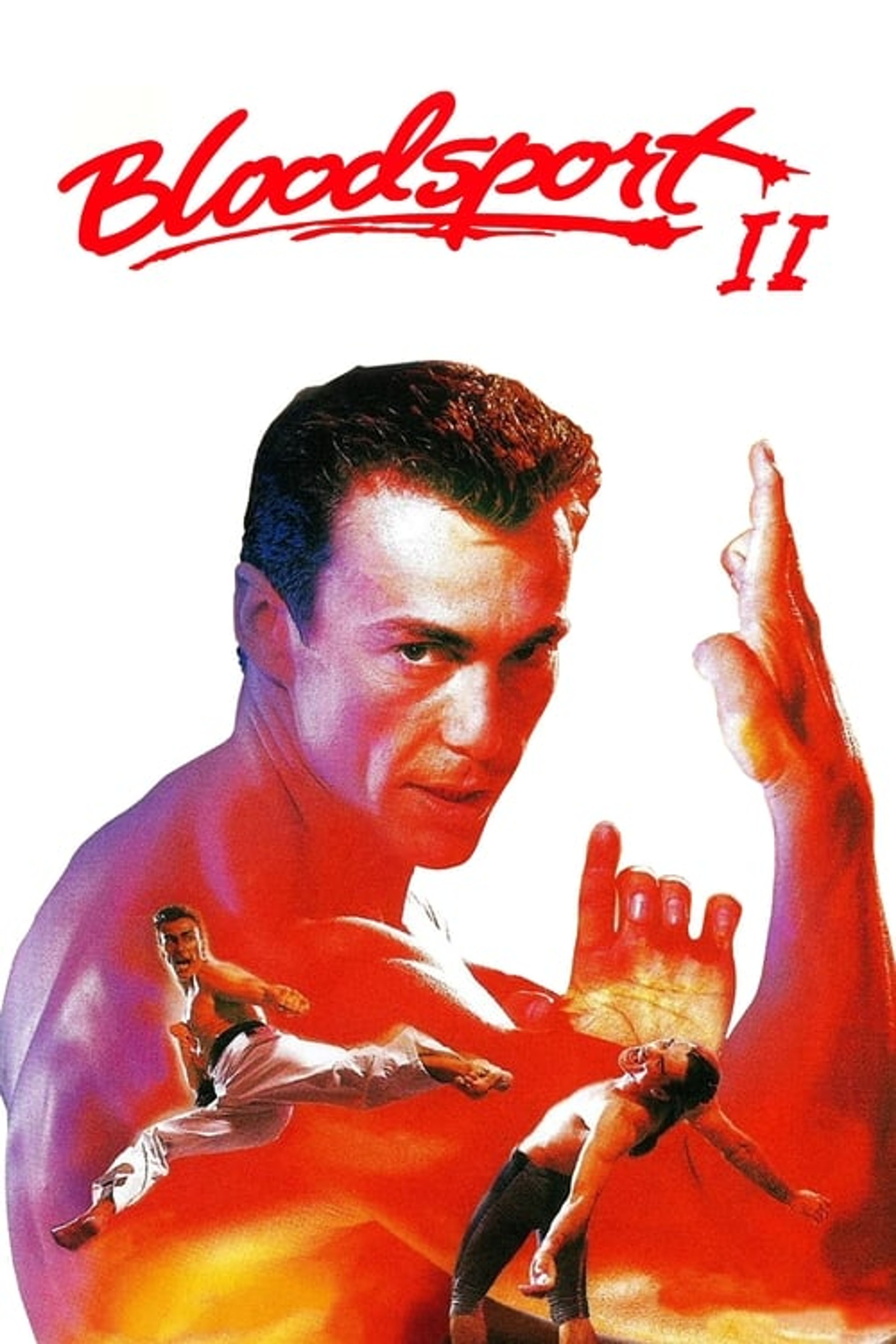 Poster image of Bloodsport II