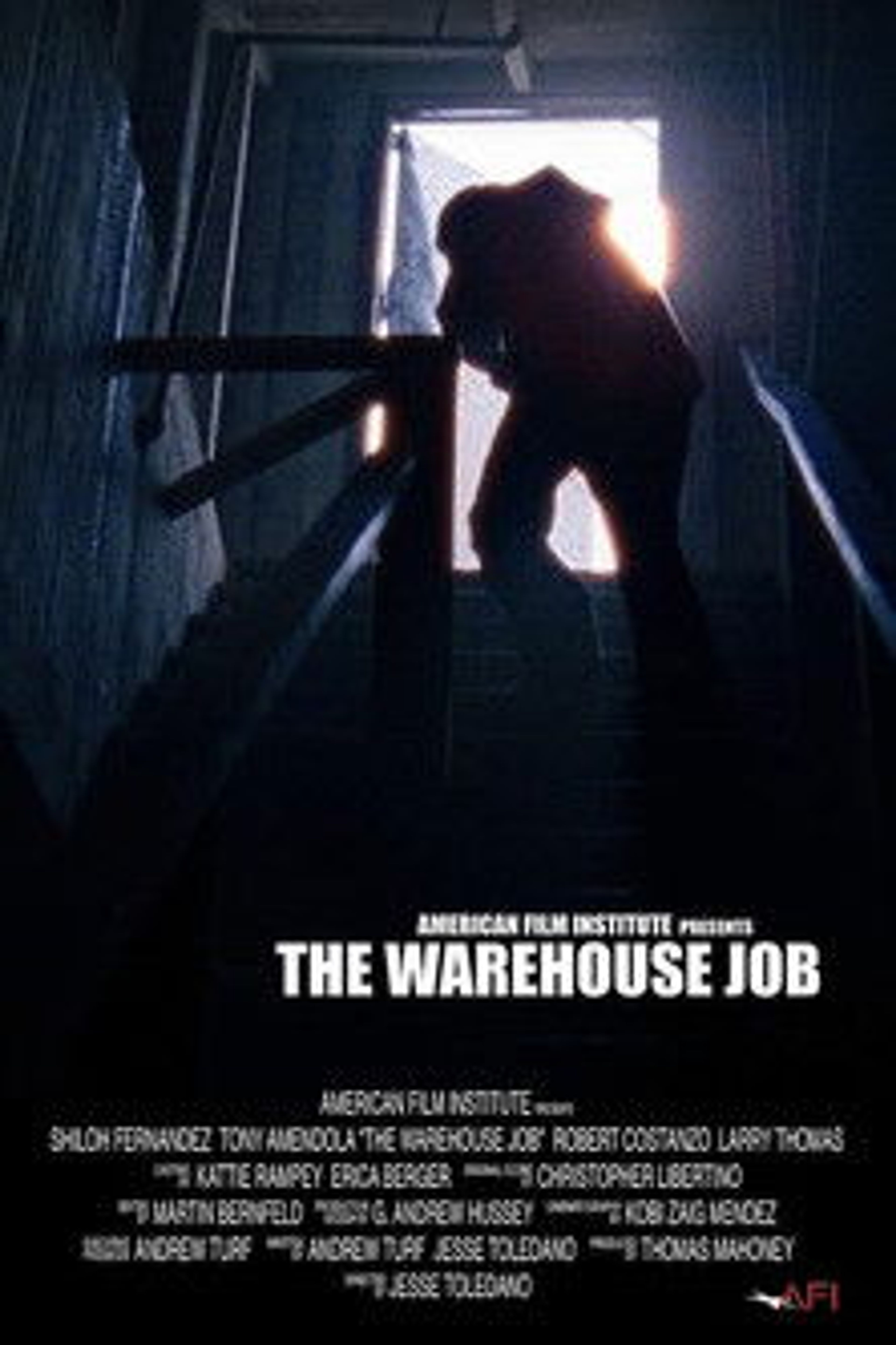 Poster image of The Warehouse Job