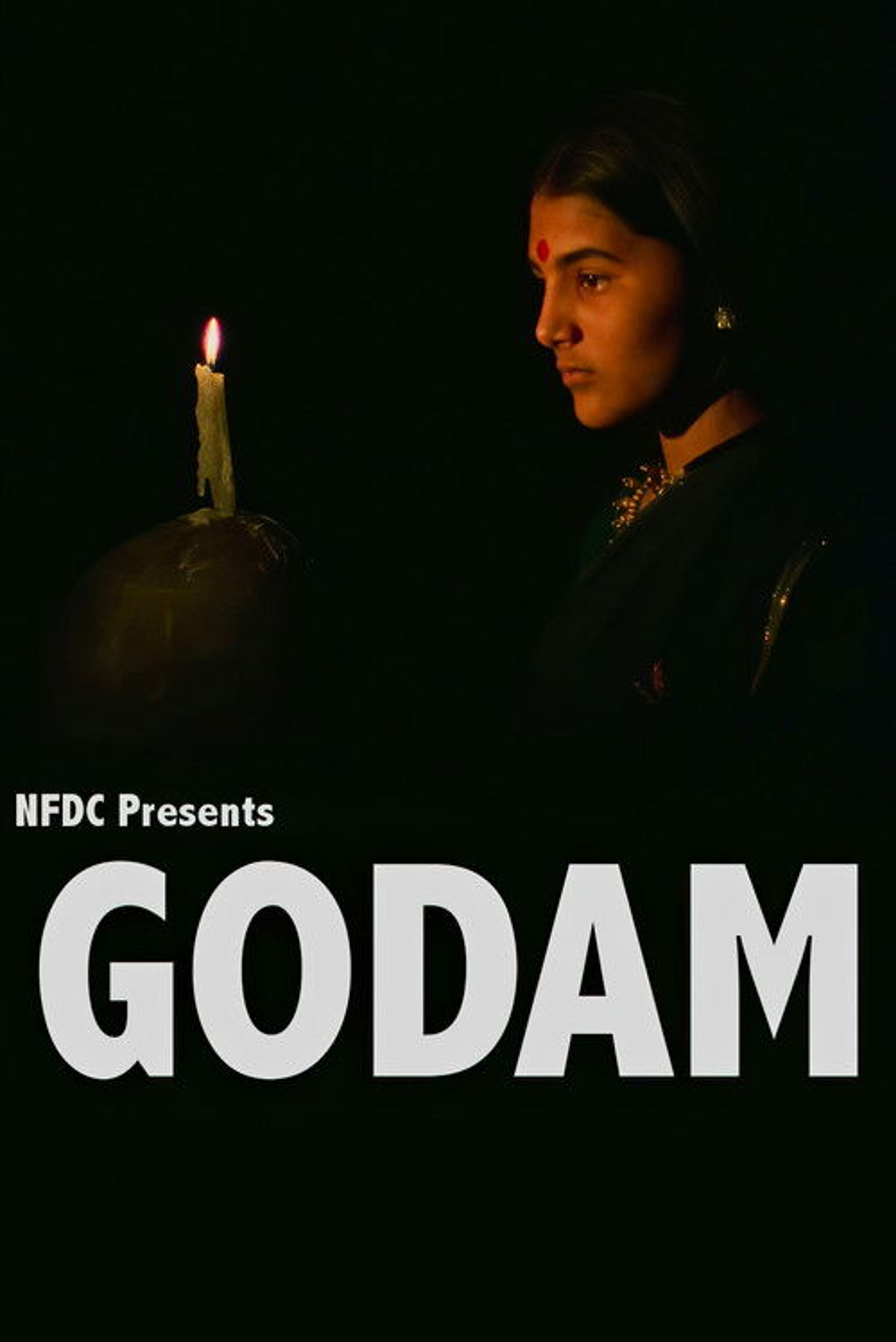 Poster image of Godam