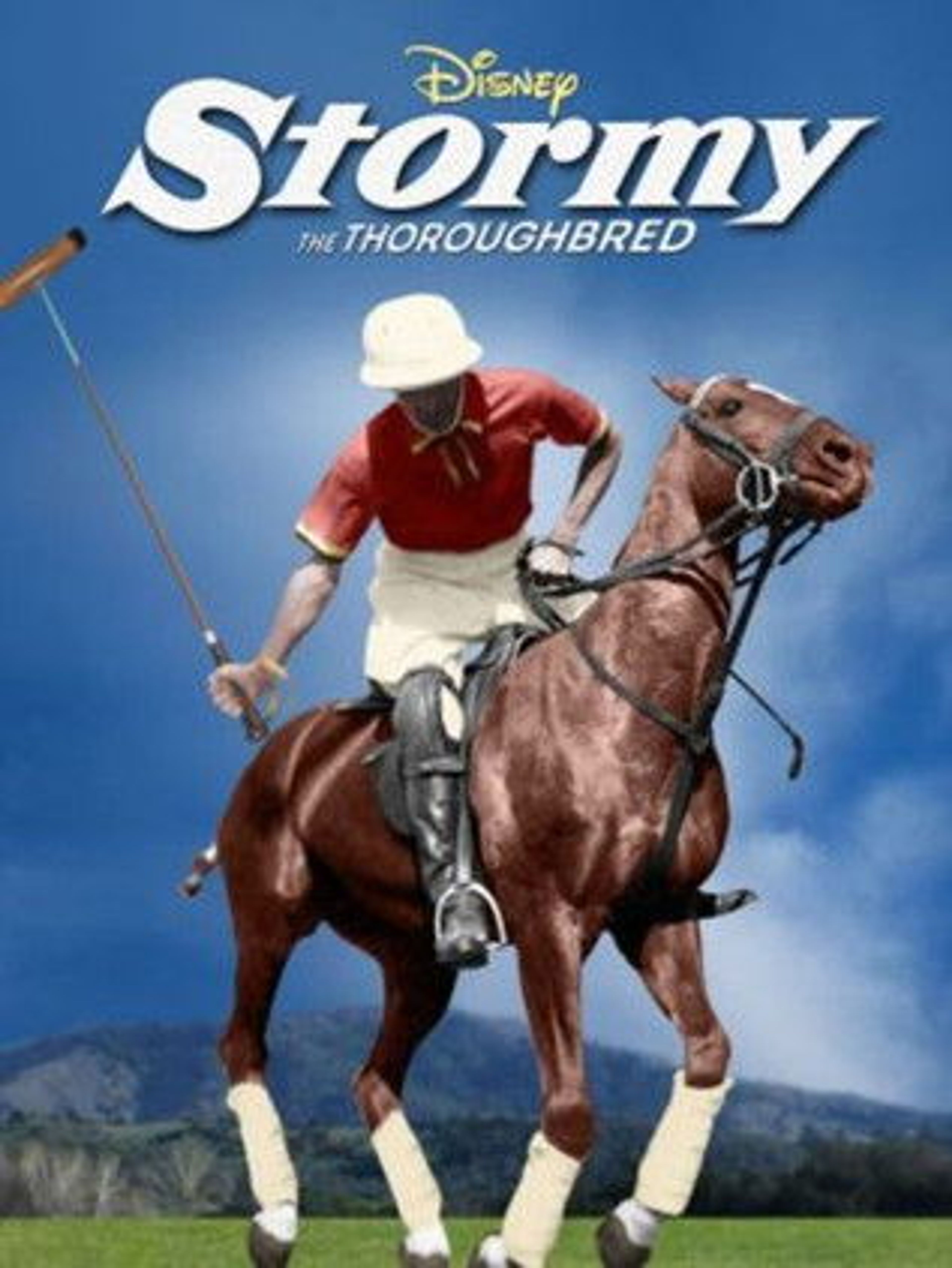 Poster image of Stormy, the Thoroughbred