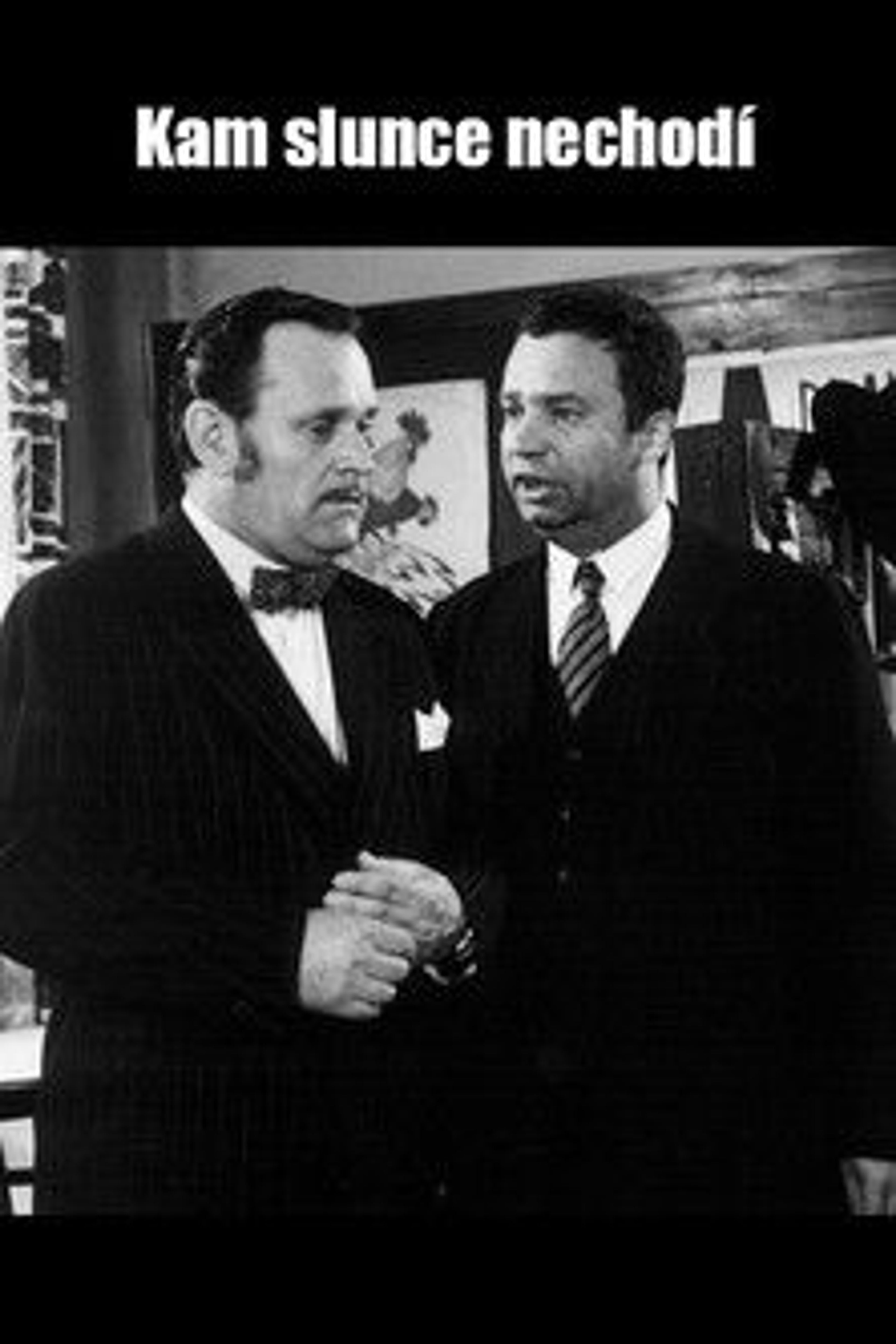 Poster image of Kam slunce nechodí...