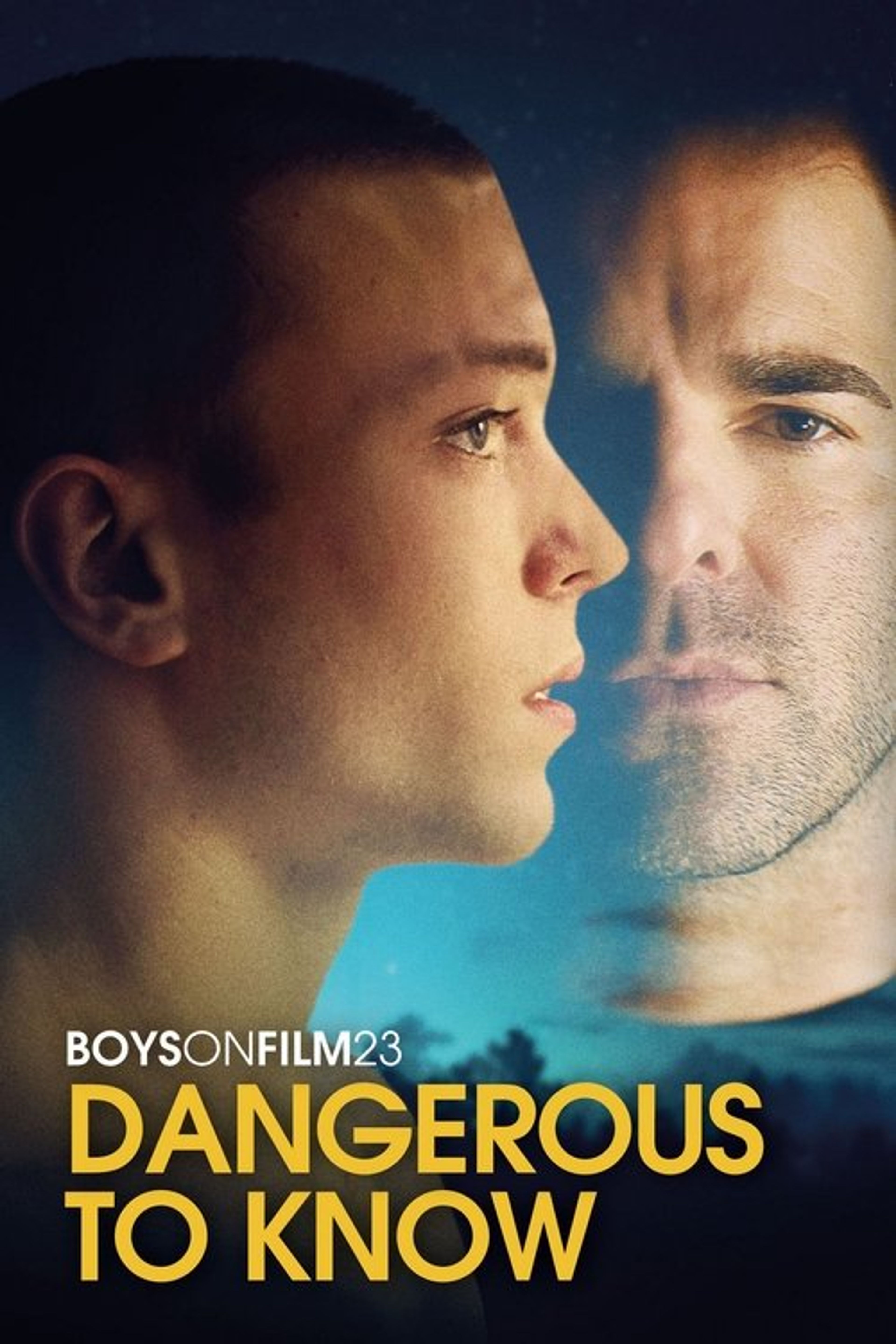 Poster image of Boys on Film 23: Dangerous to Know