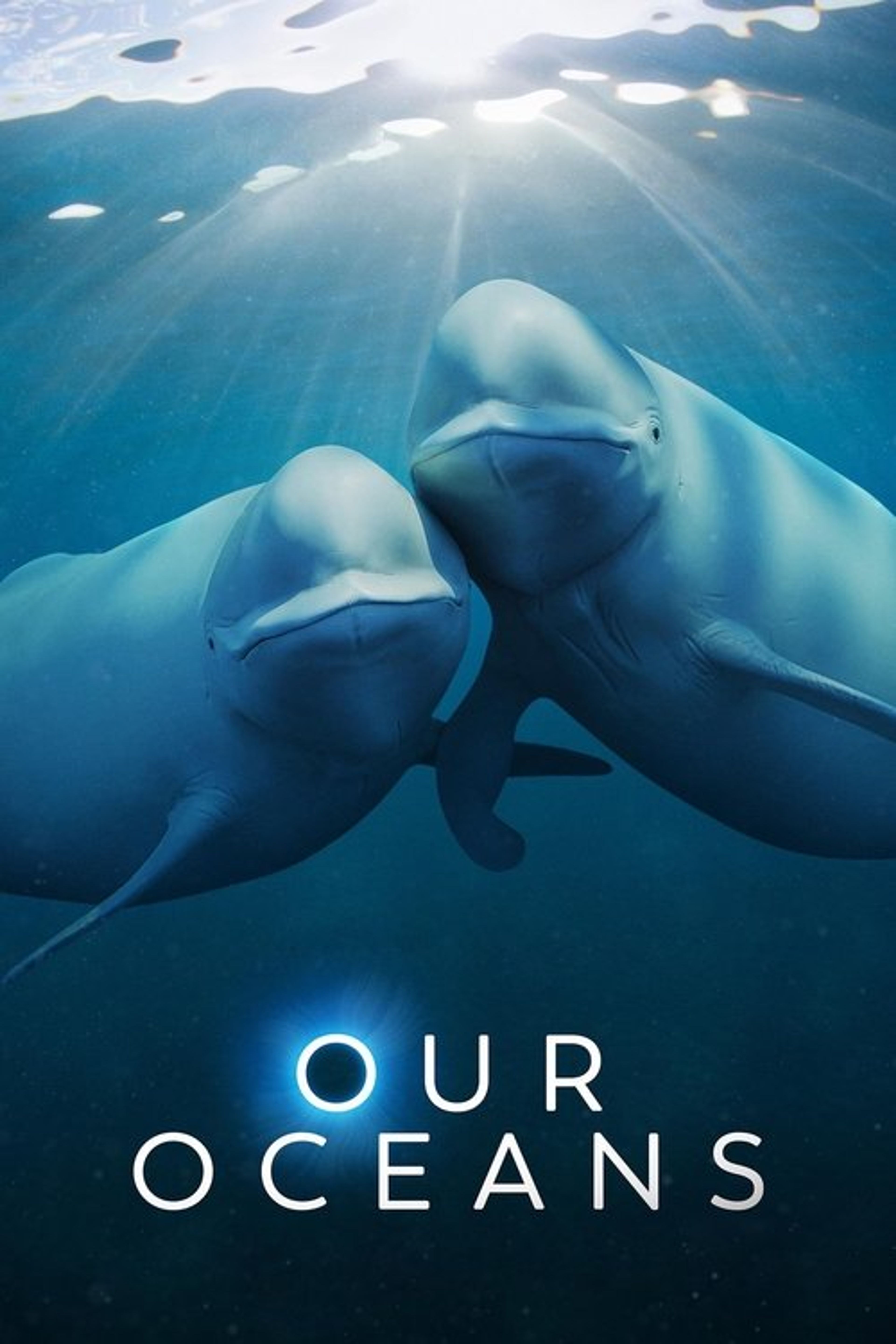 Poster image of Our Oceans