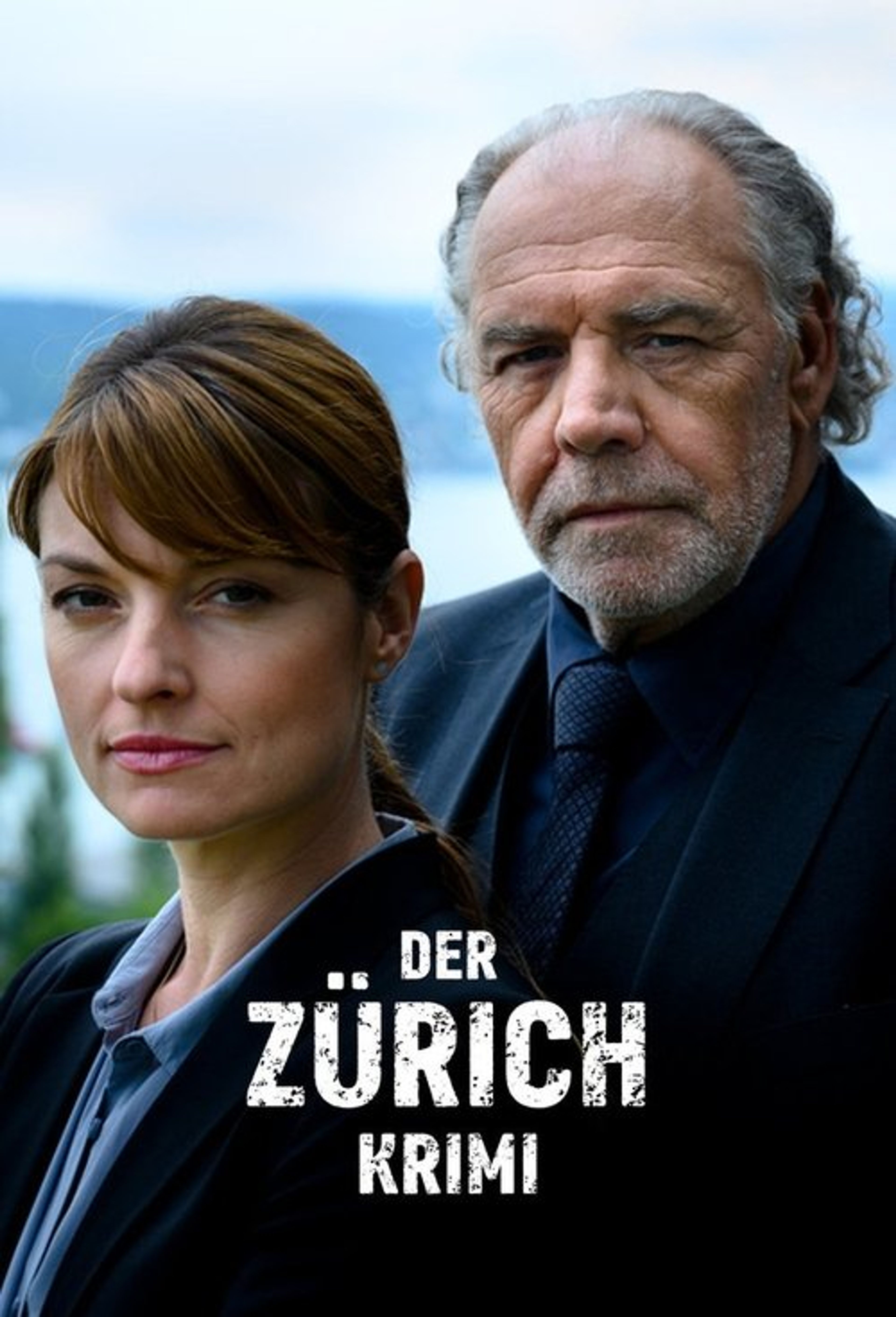Poster image of Der Zürich-Krimi