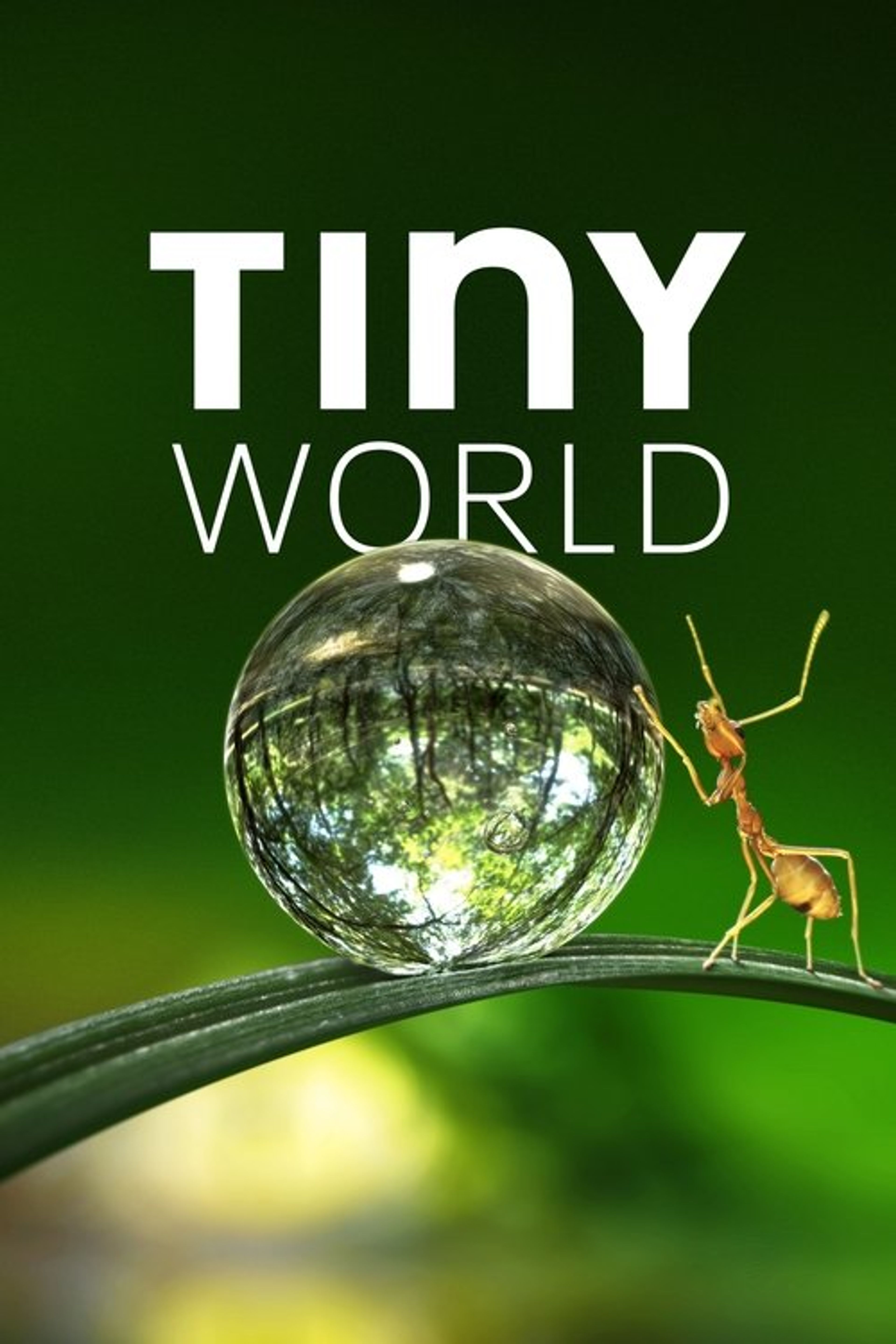 Poster image of Tiny World