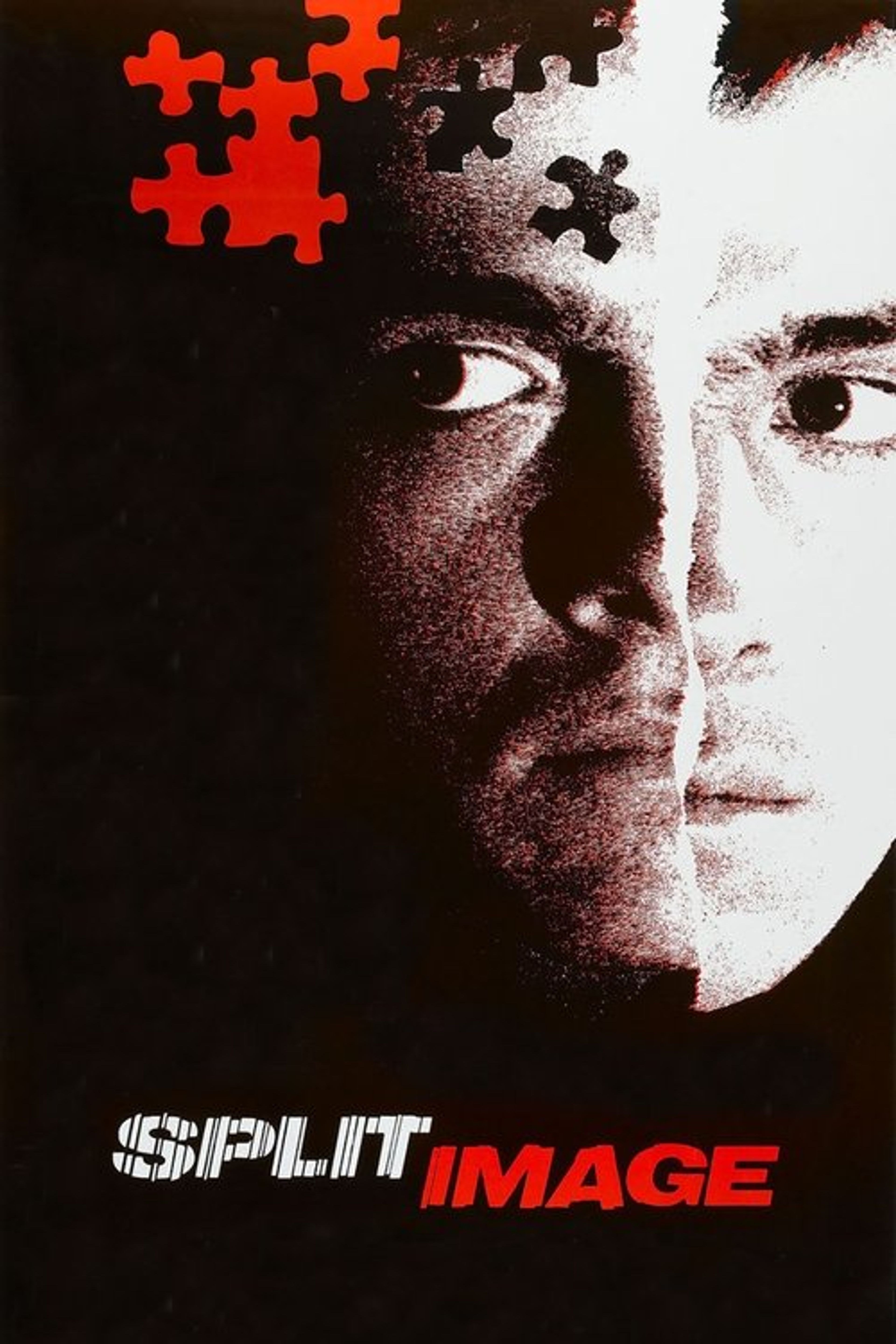 Poster image of Split Image