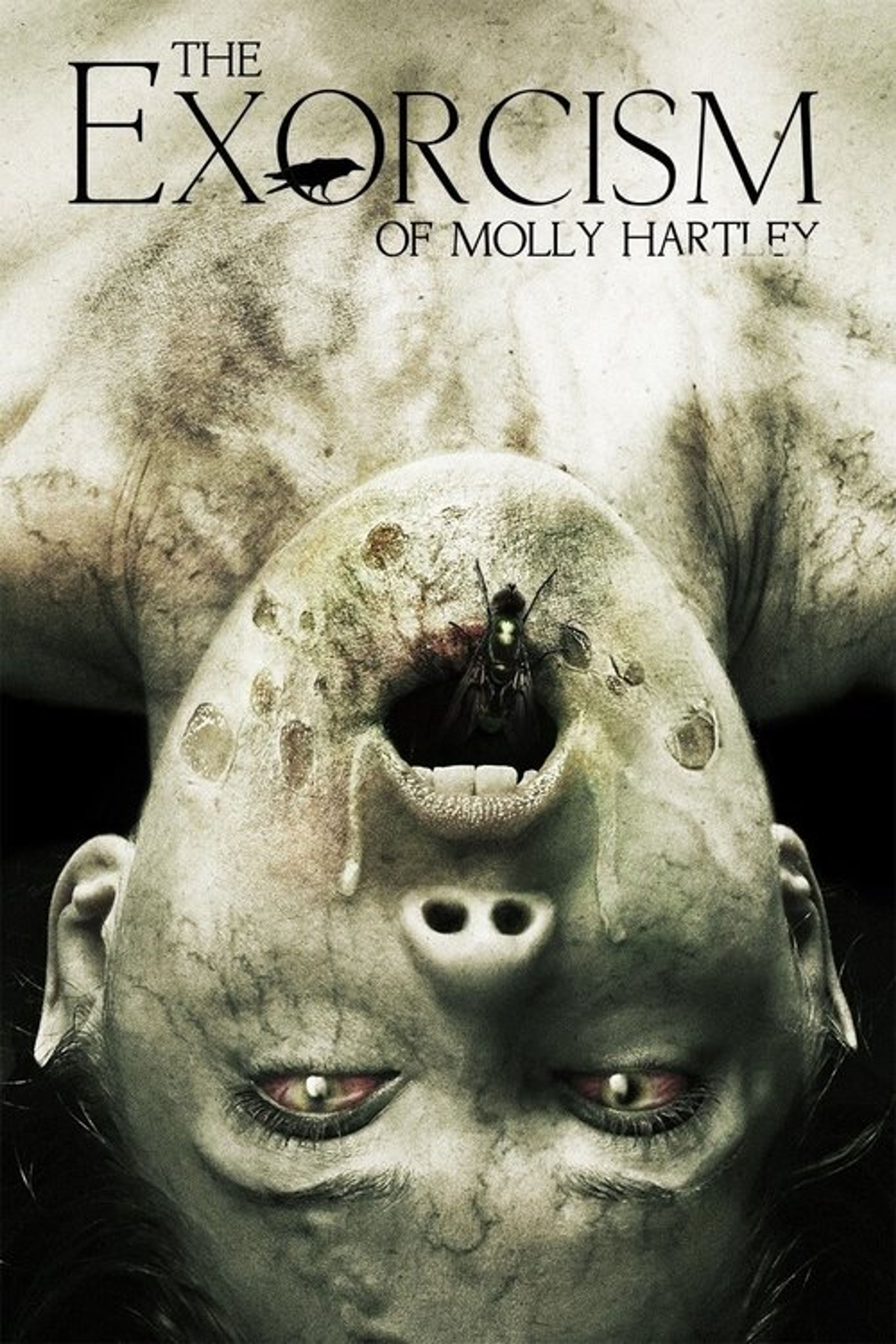 Poster image of The Exorcism of Molly Hartley