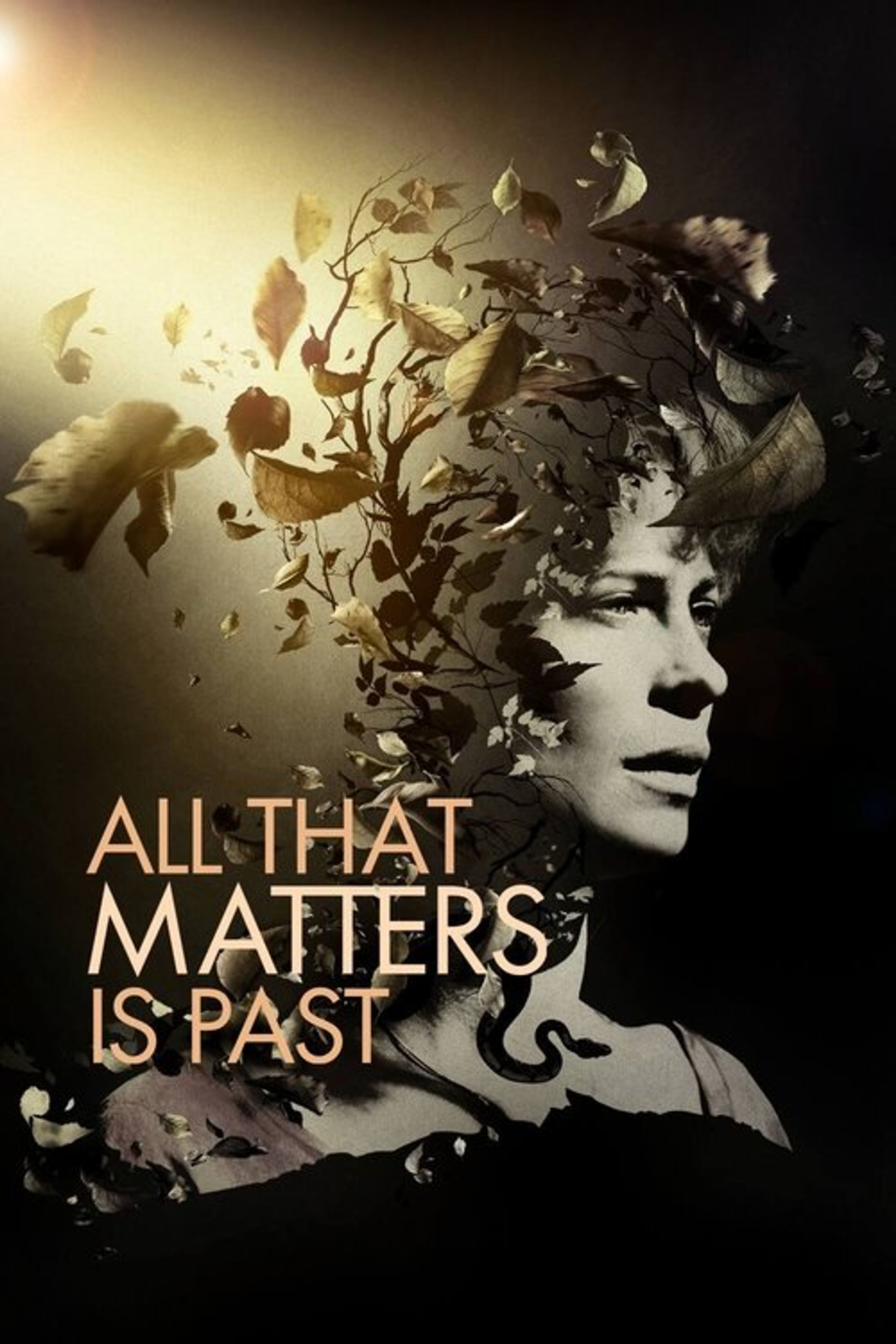 Poster image of All That Matters Is Past