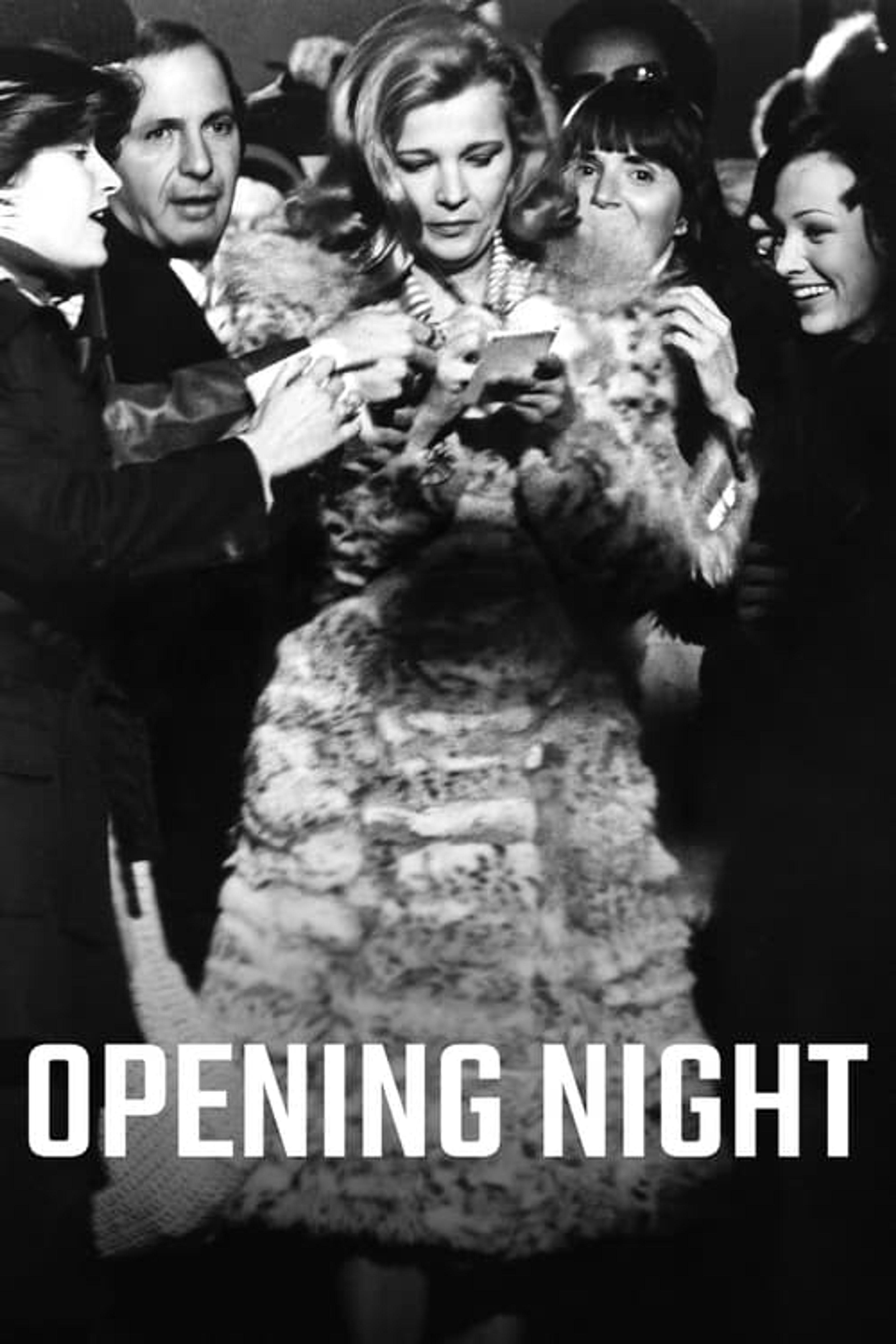 Poster image of Opening Night