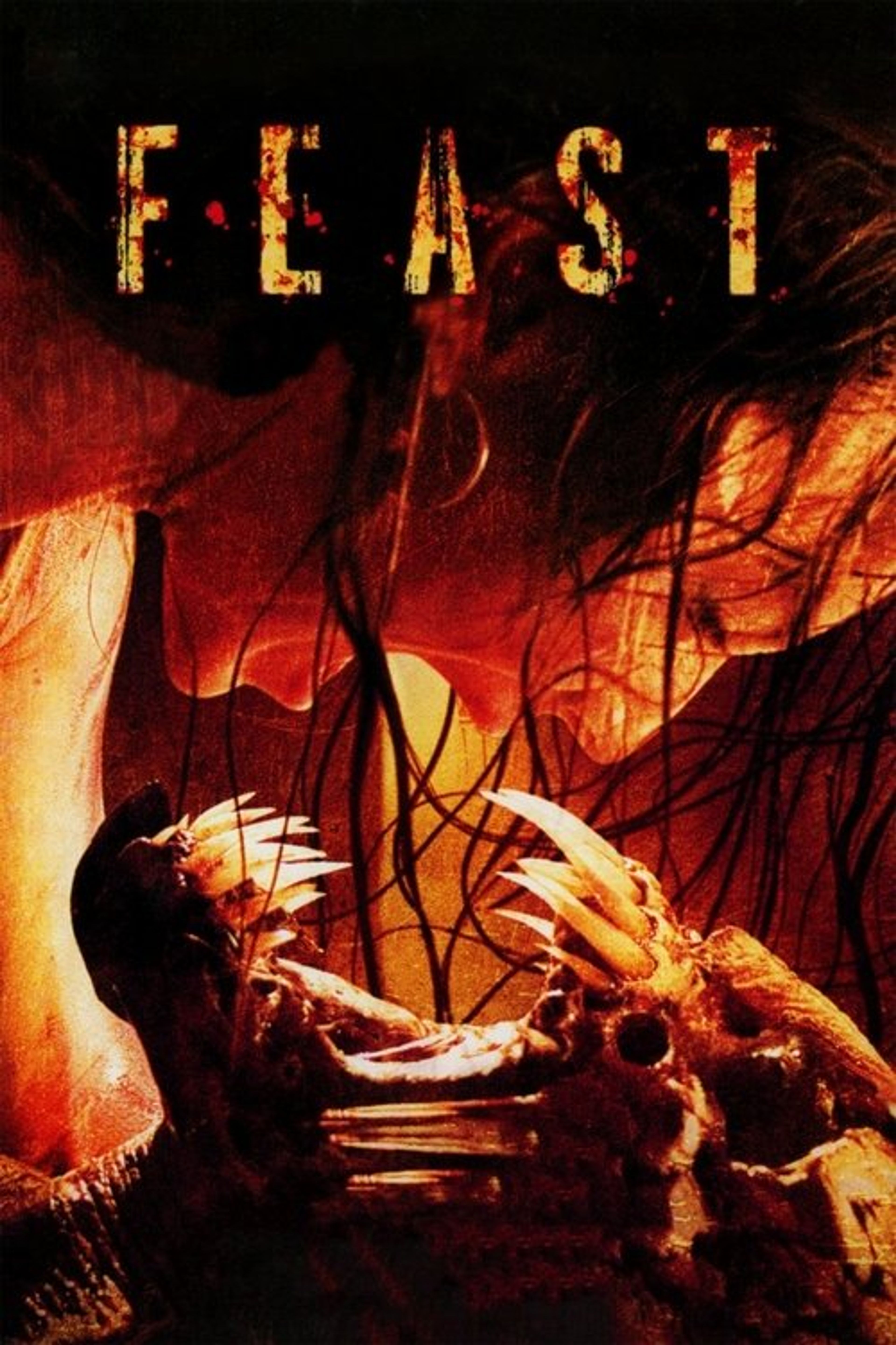 Poster image of Feast