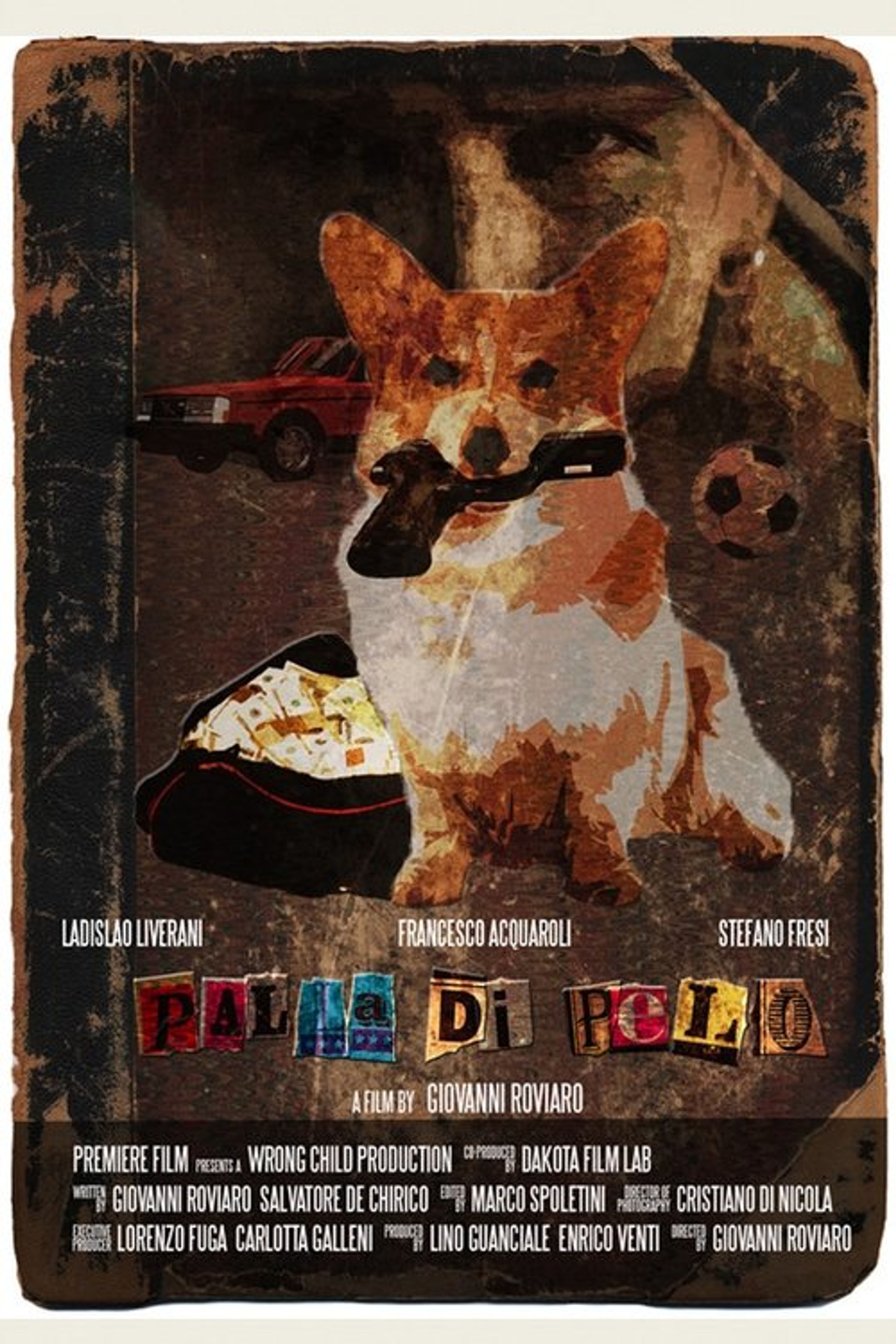 Poster image of Palla di pelo