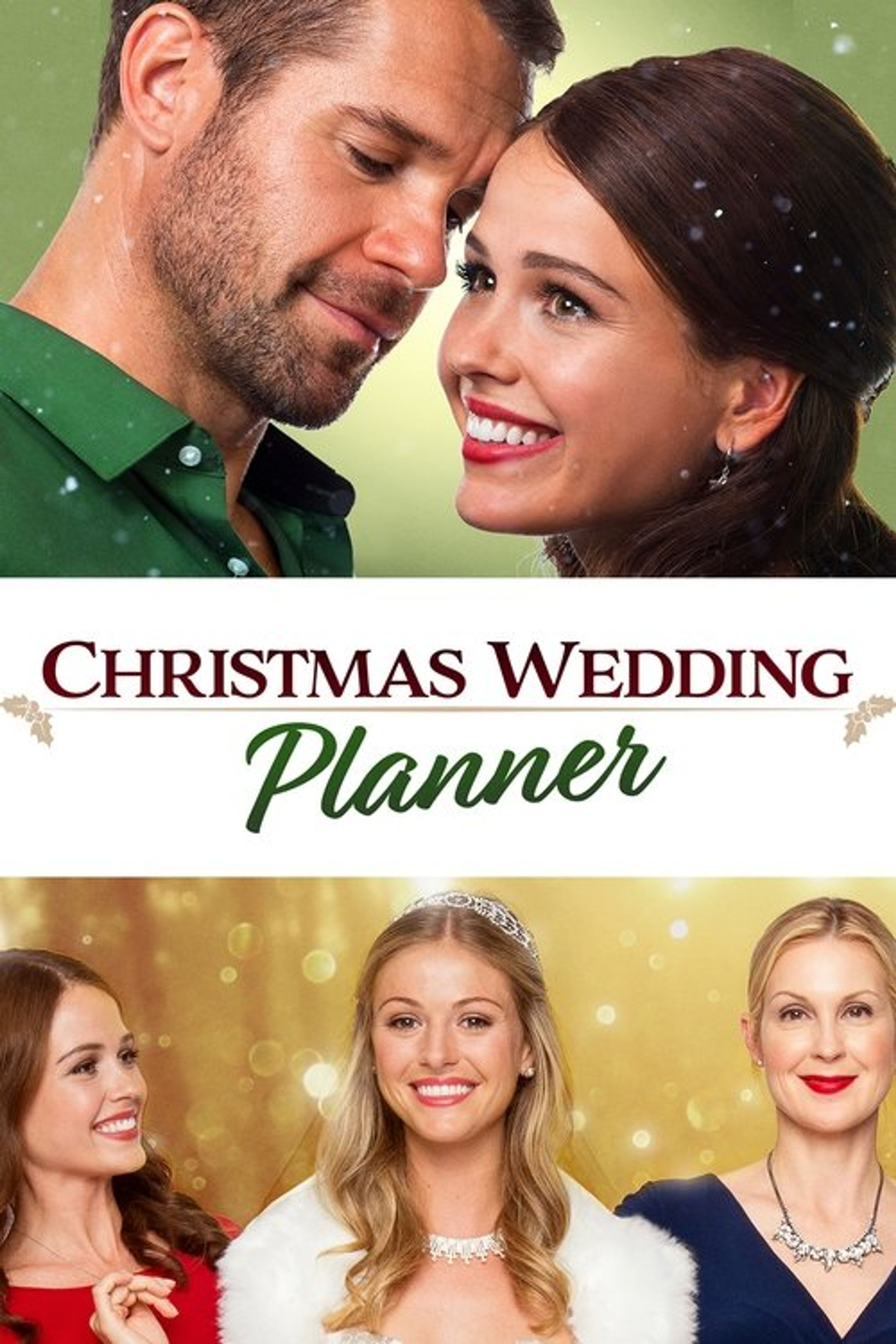 Poster image of Christmas Wedding Planner
