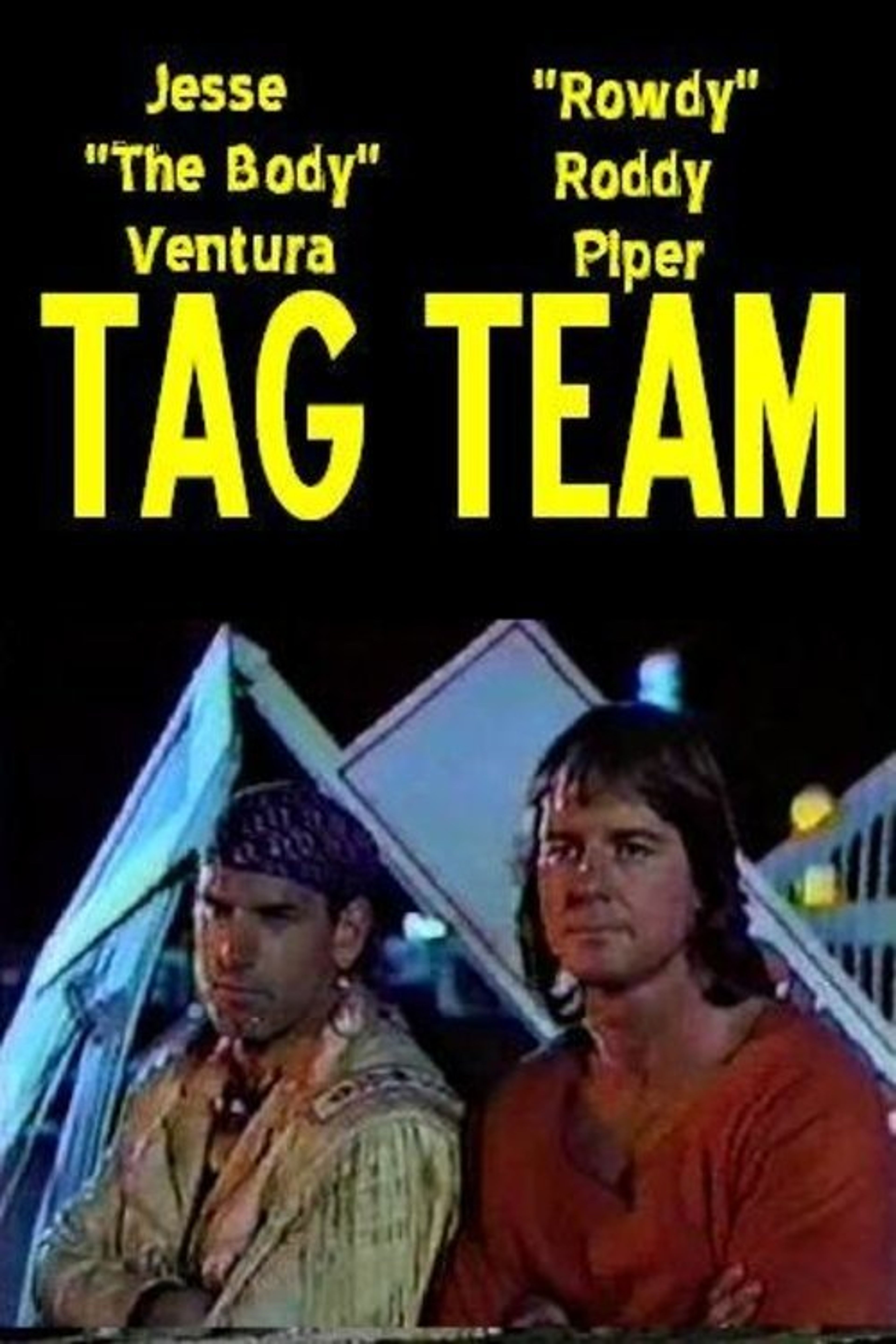 Poster image of Tagteam