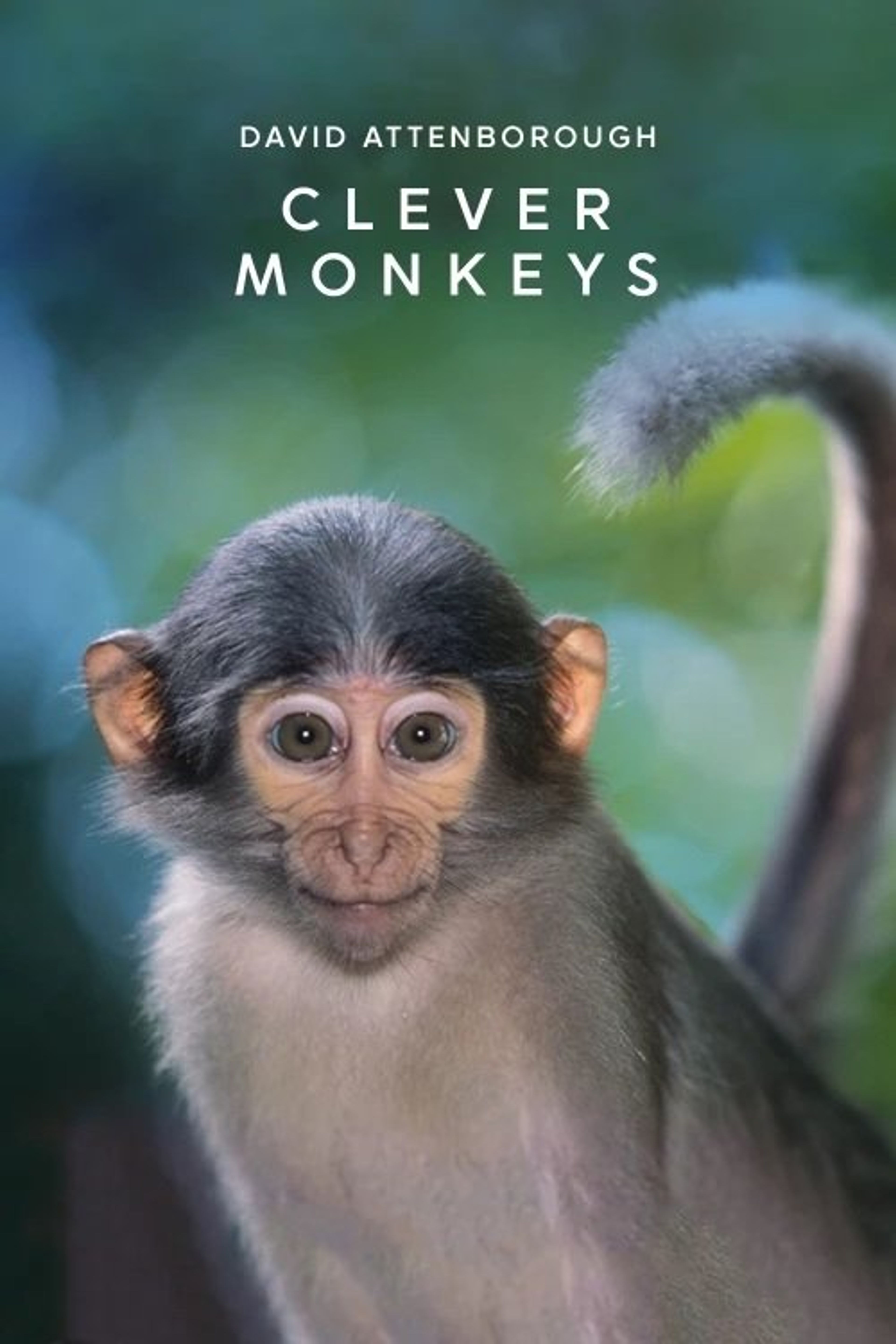 Poster image of Clever Monkeys