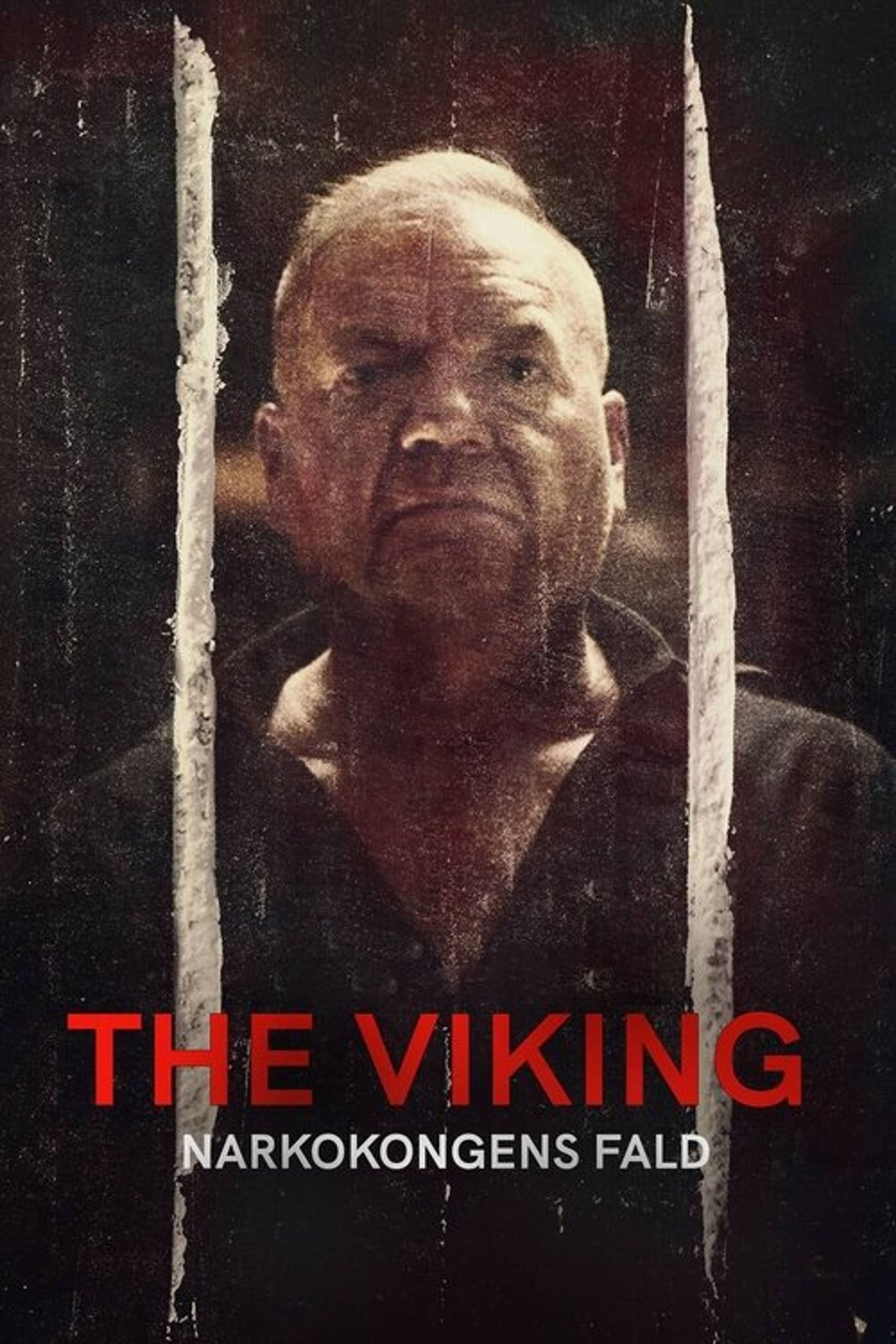 Poster image of The Viking - Downfall of a Drug Lord