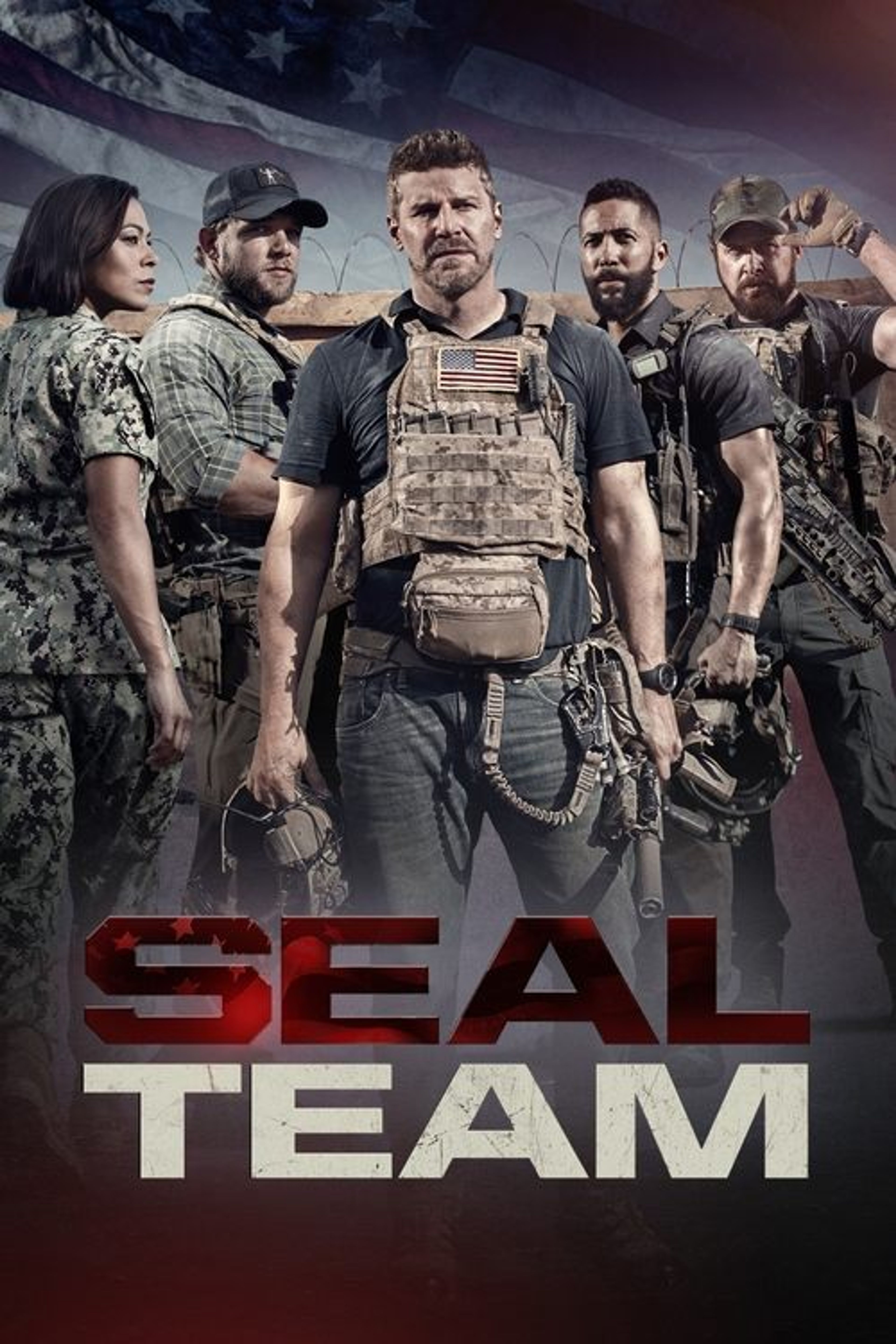 Poster image of SEAL Team