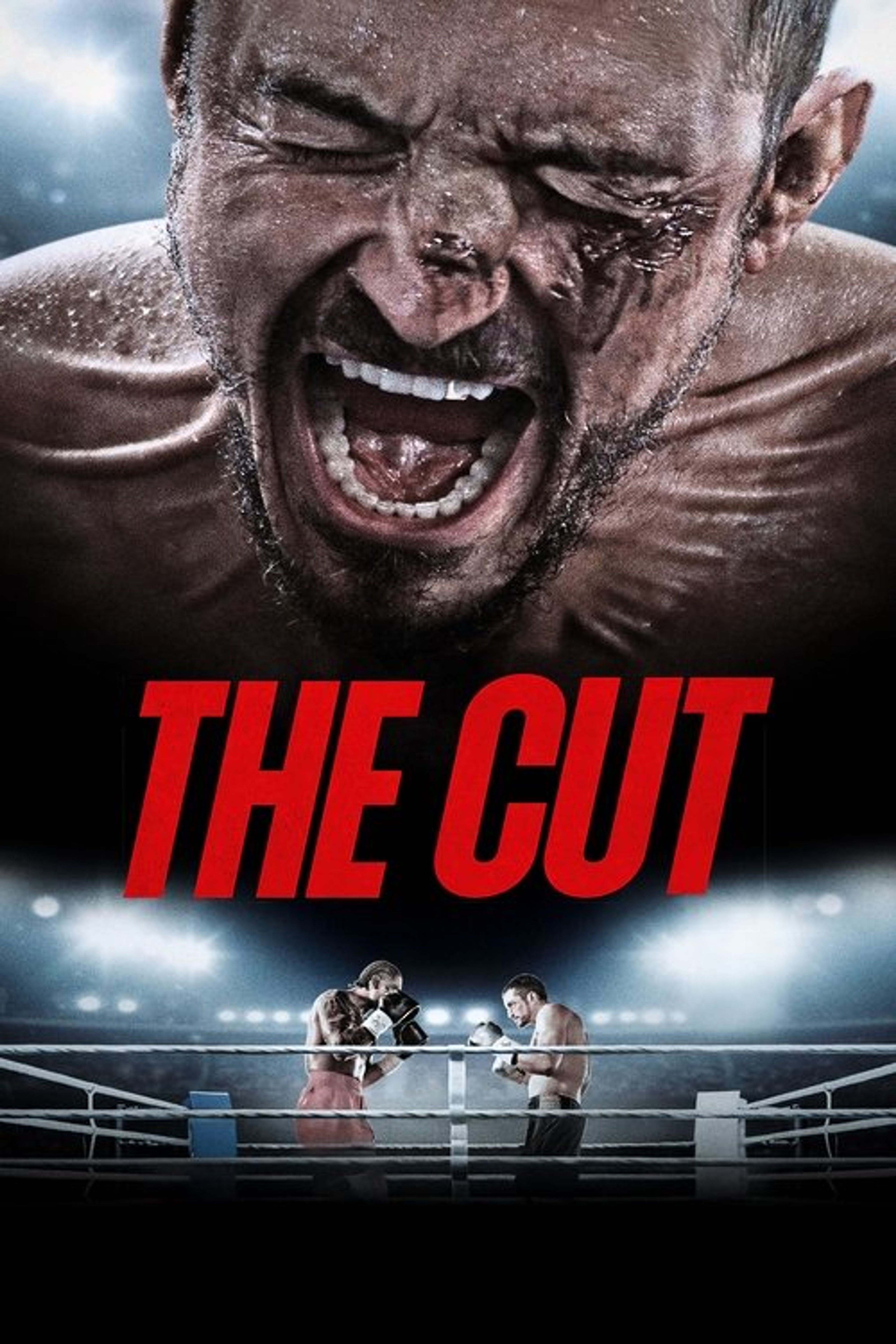 Poster image of The Cut