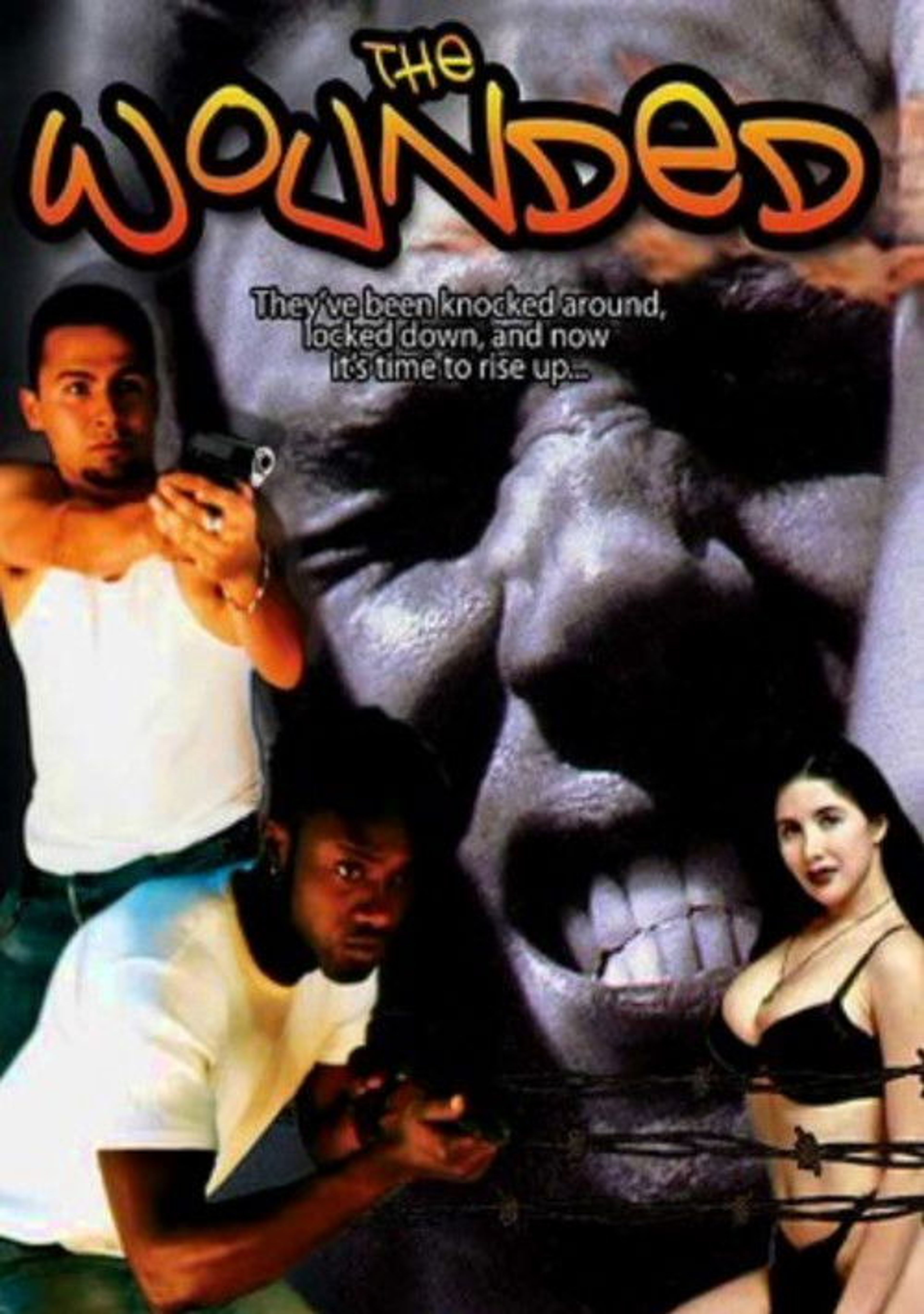 Poster image of The Wounded