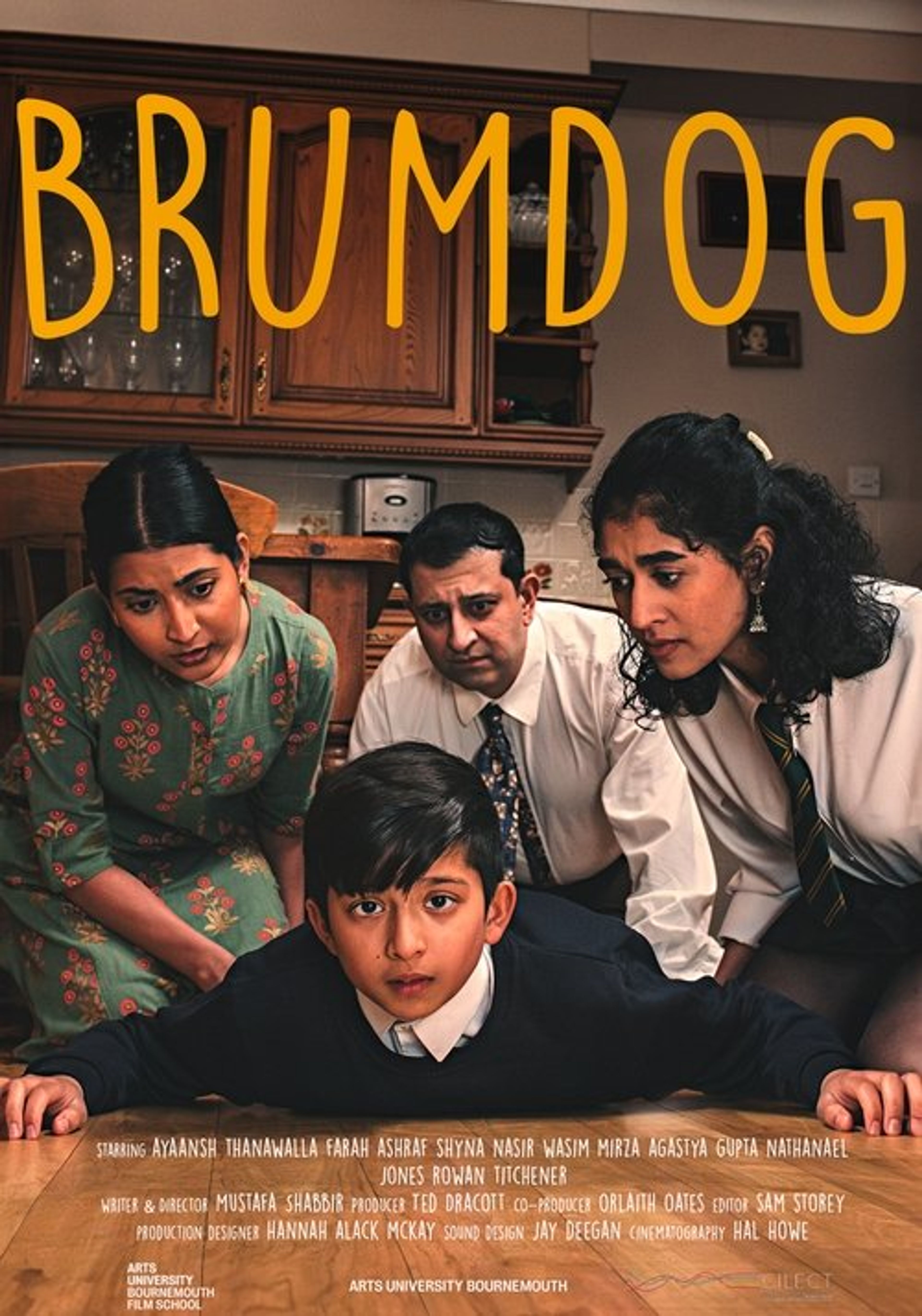 Poster image of Brumdog