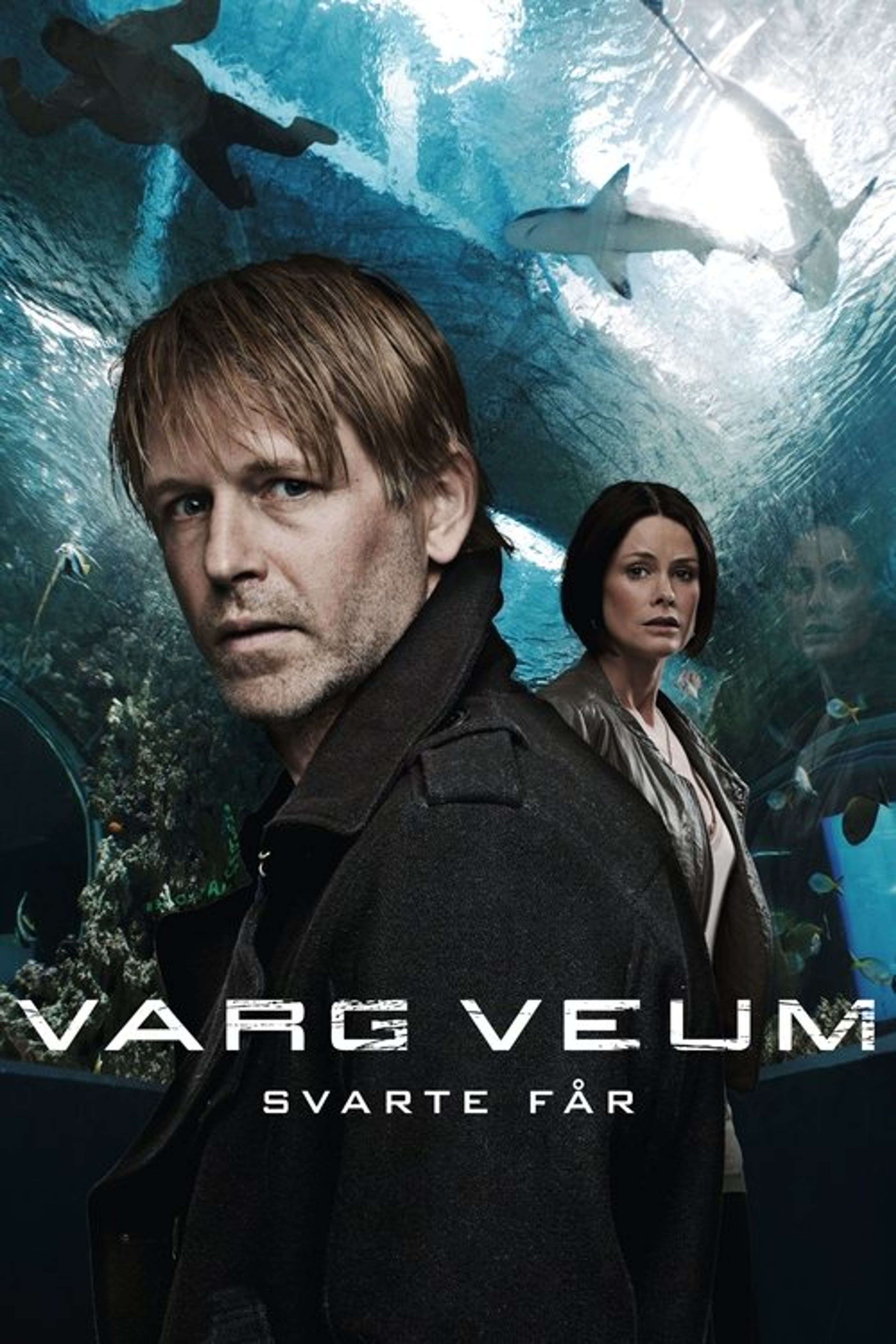 Poster image of Varg Veum - Black Sheep