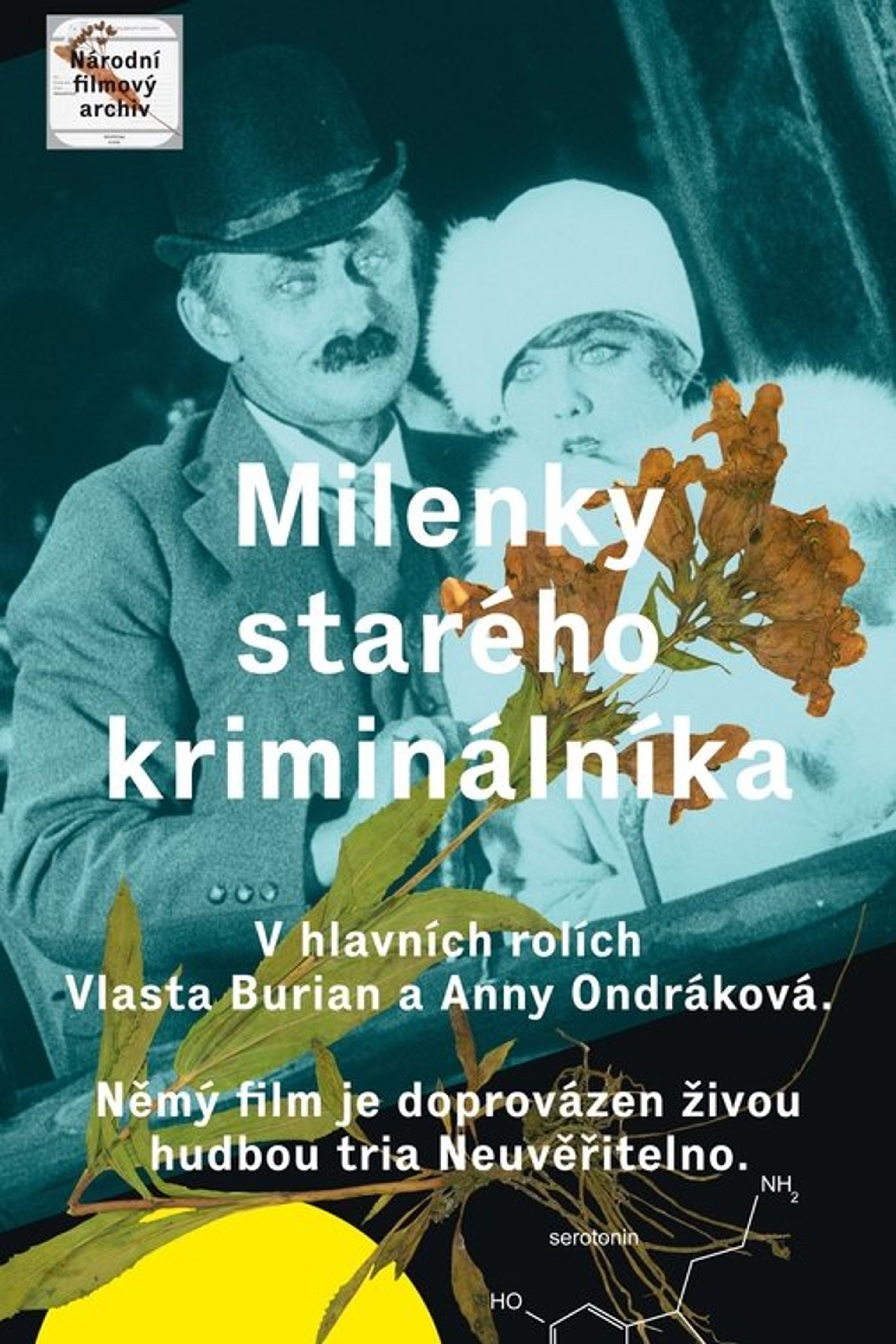 Poster image of The Lovers of an Old Criminal