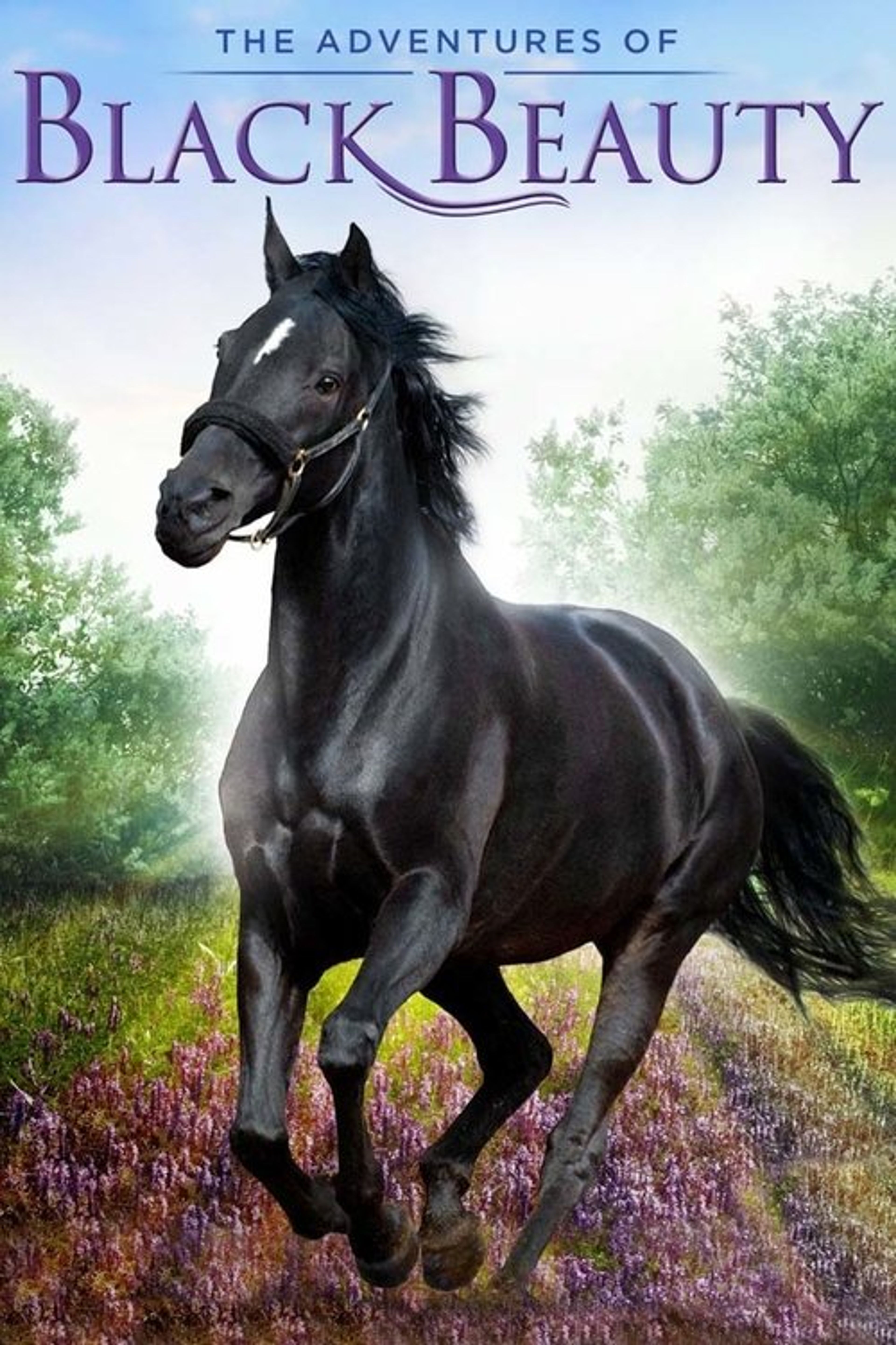 Poster image of The Adventures of Black Beauty