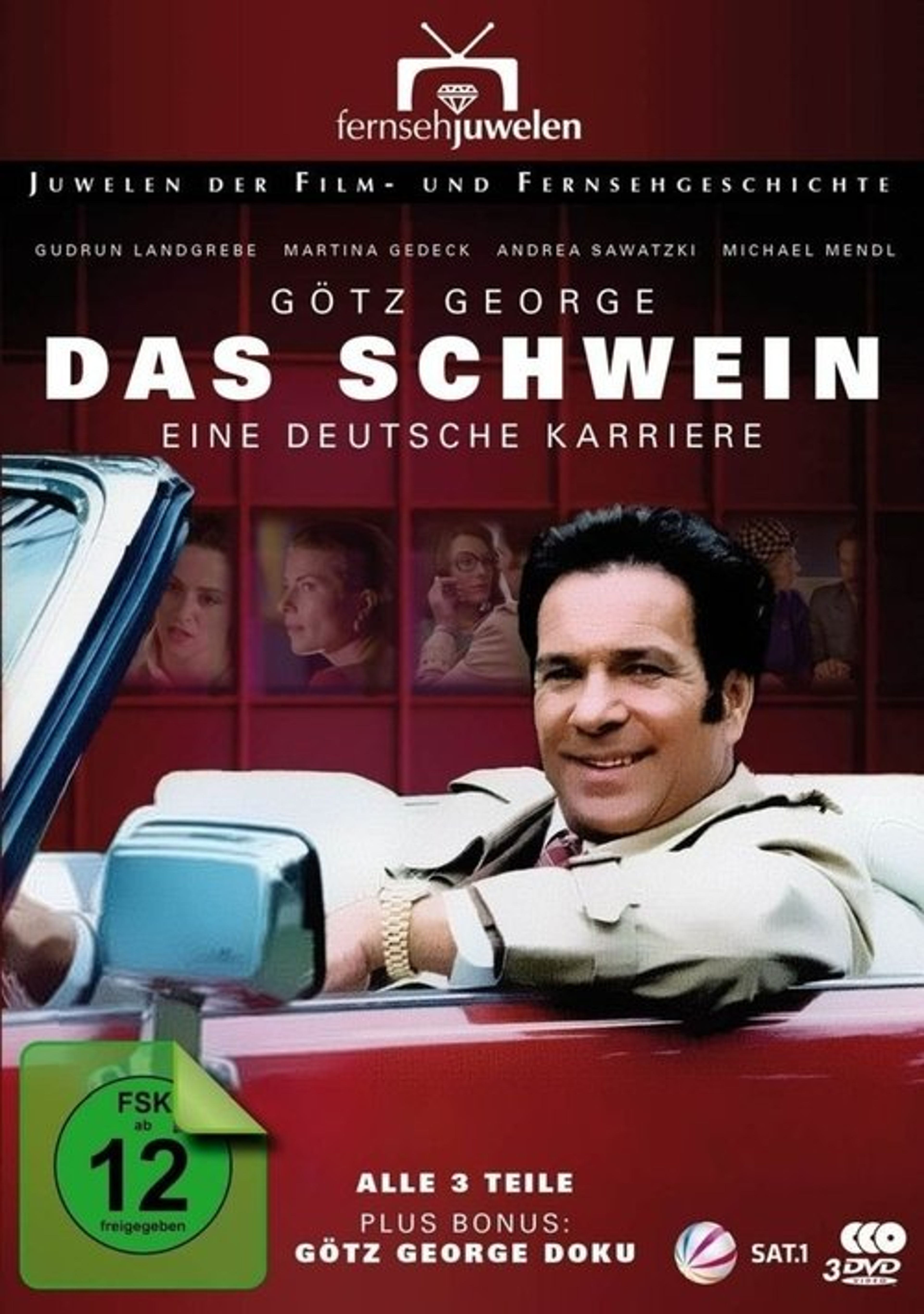 Poster image of Das Schwein - Eine deutsche Karriere