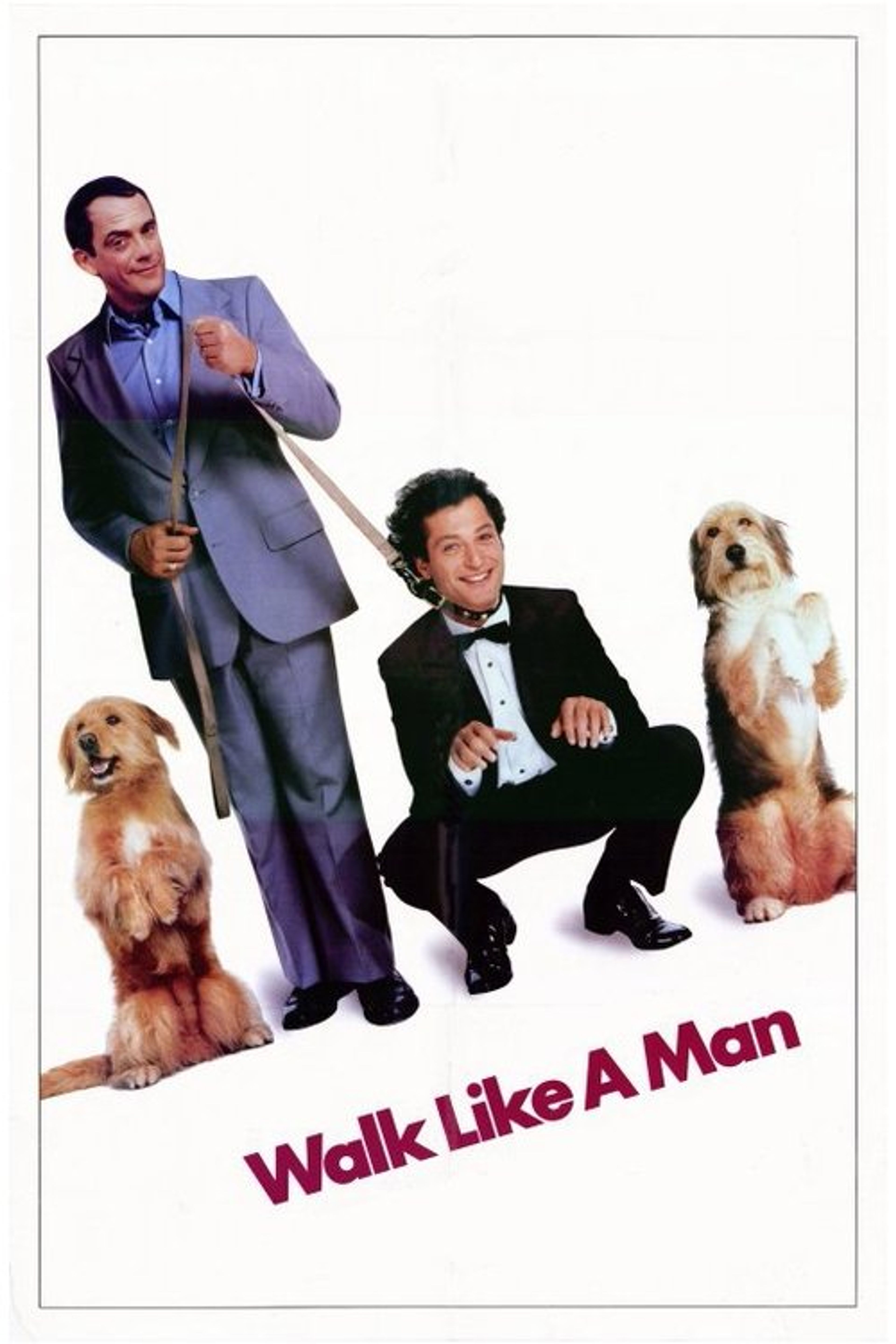 Poster image of Walk Like a Man